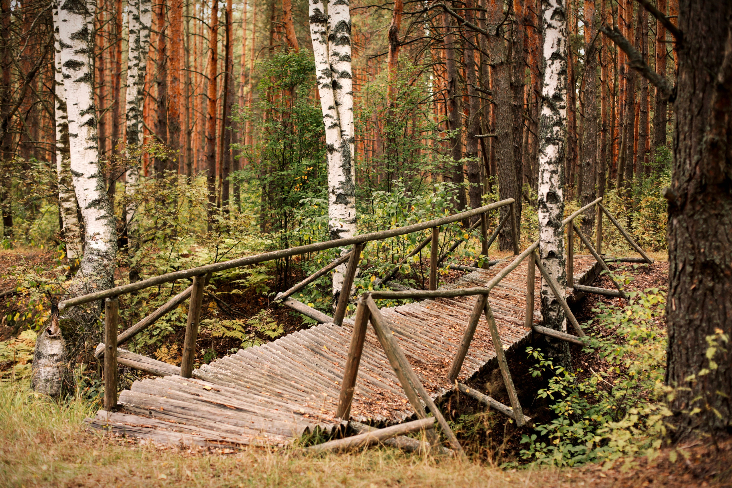 Чувства. Контент-фотограф Рязань/Москва/Санкт-Петербург/Сочи Елена Сазонтова