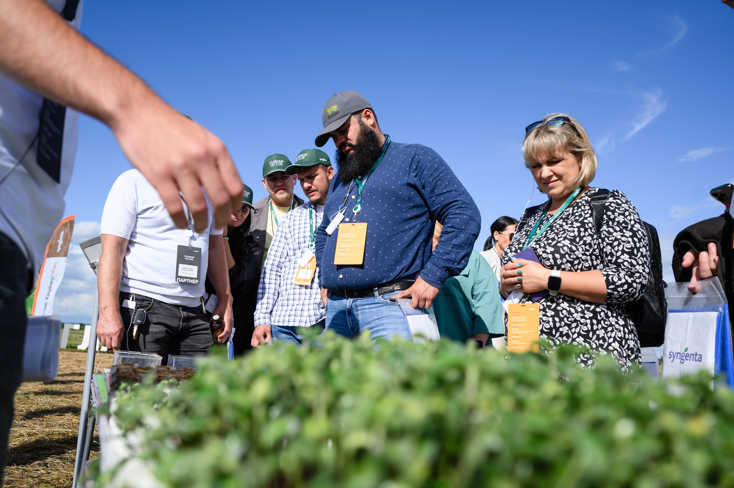 Проекты. Профессиональный фотограф Вячеслав Плацында | Липецк |