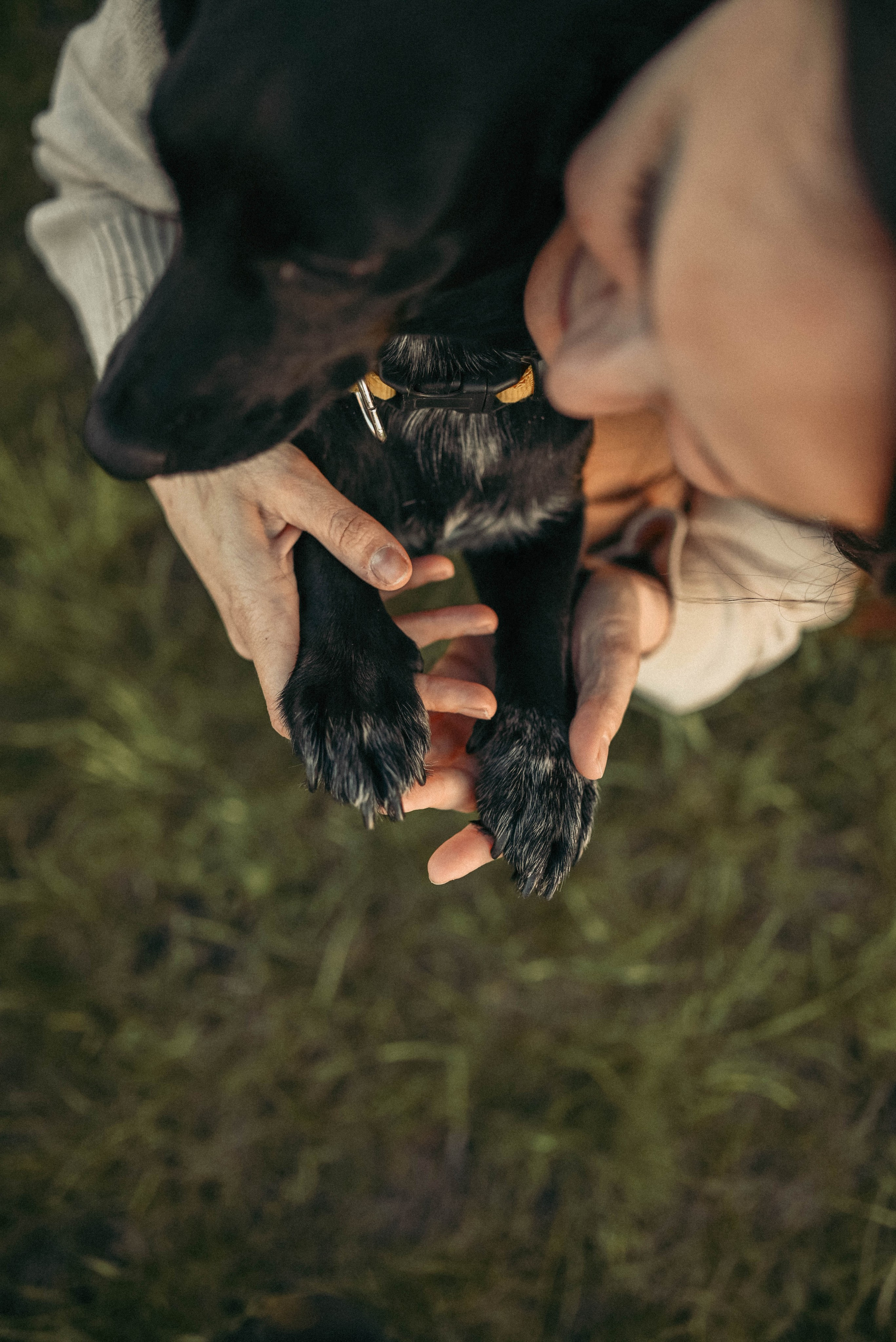 Прогулка с пушистым другом. Семейный фотограф в Москве Люберцах Ирина Вронская