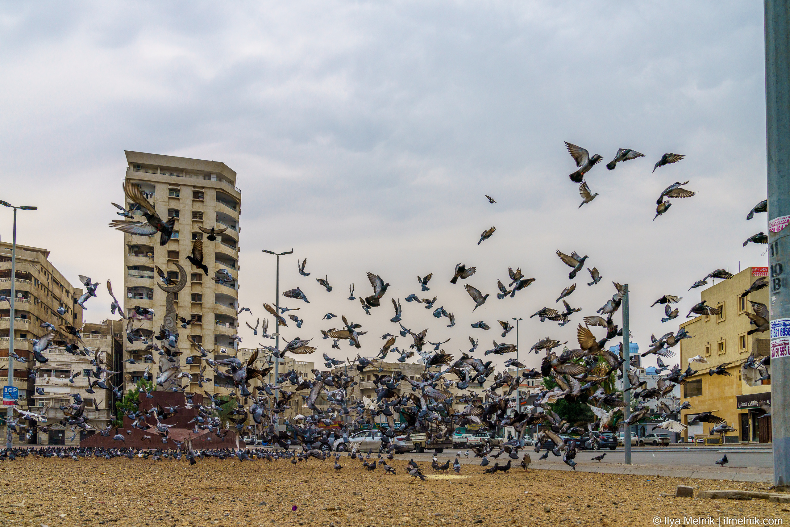 Saudi Arabia. Ilya Melnik Photography