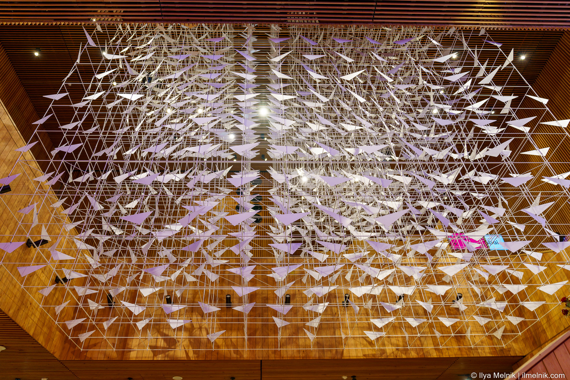 UAE (Dubai Expo 2020). Ilya Melnik Photography