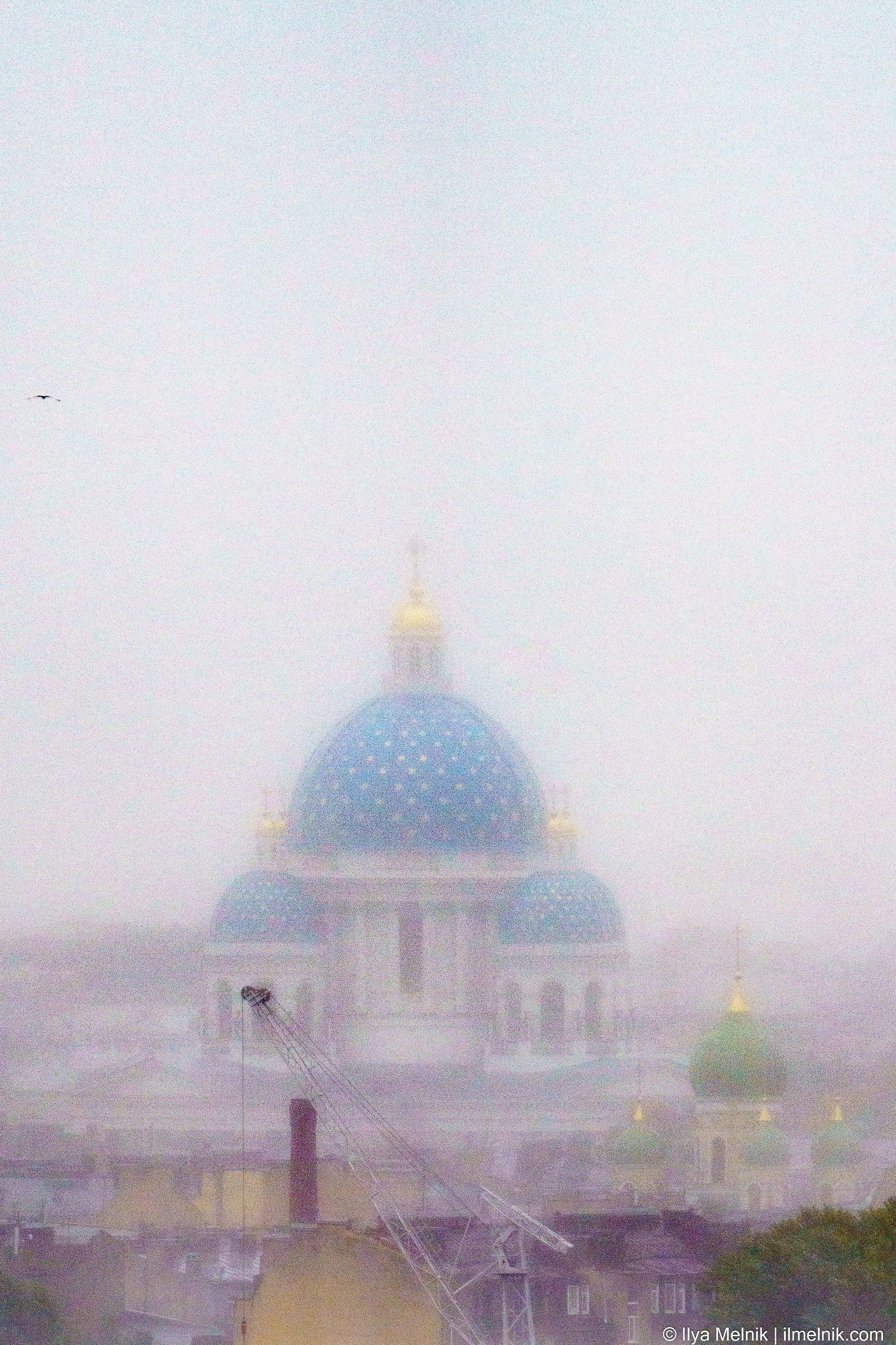 Russia (Saint-Petersburg). Ilya Melnik Photography