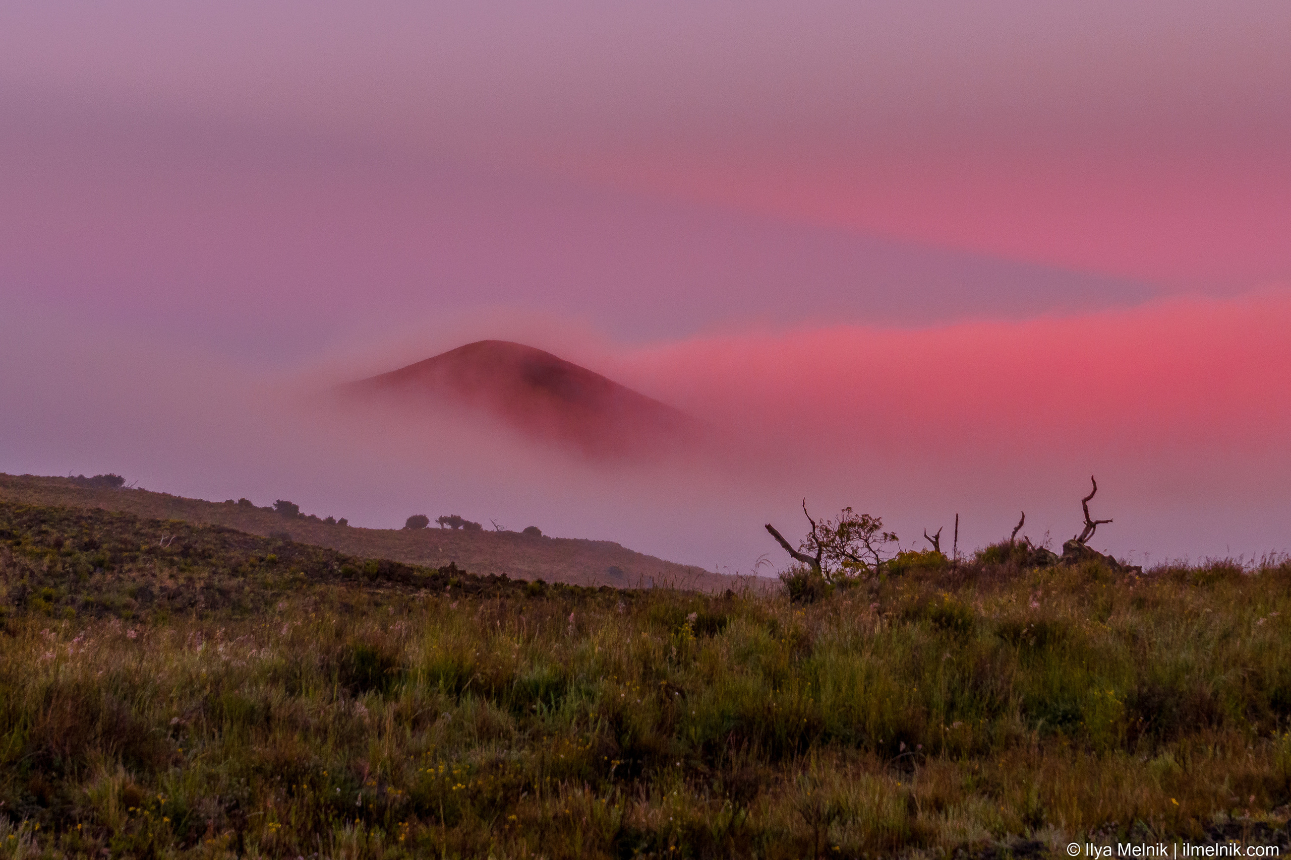 USA. Ilya Melnik Photography