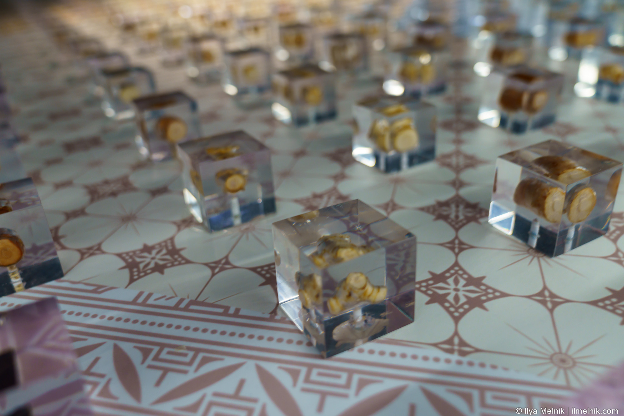 UAE (Dubai Expo 2020). Ilya Melnik Photography