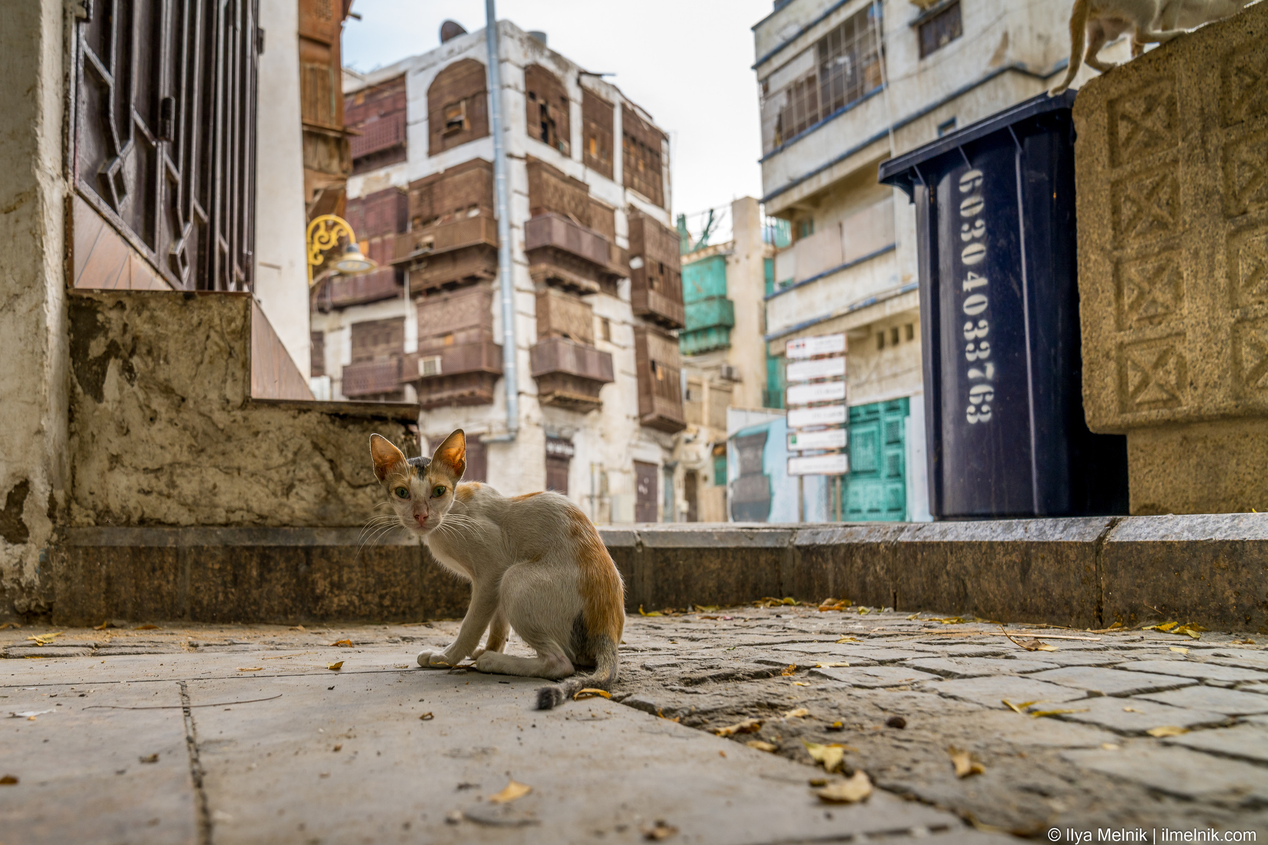 Saudi Arabia. Ilya Melnik Photography