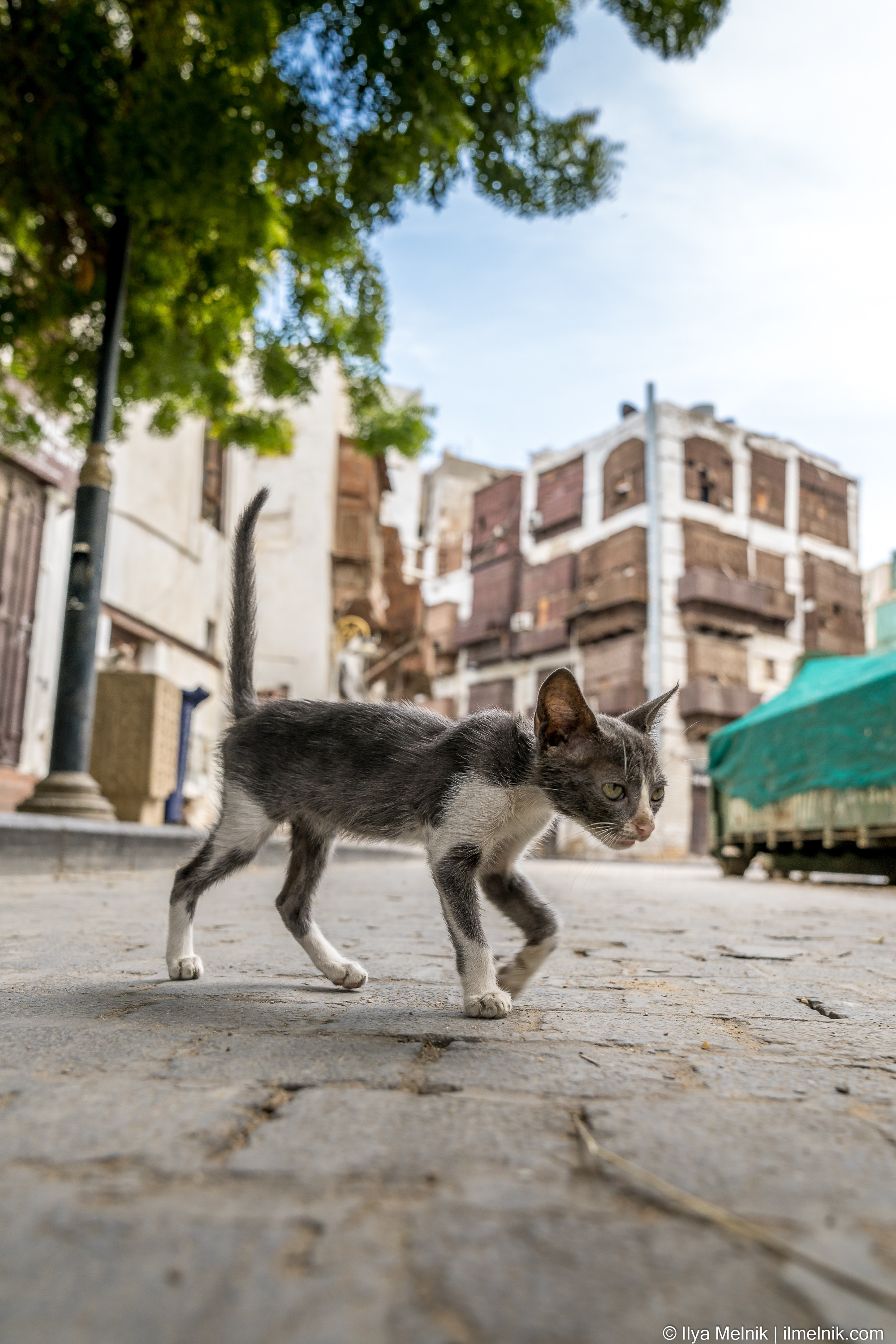 Saudi Arabia. Ilya Melnik Photography