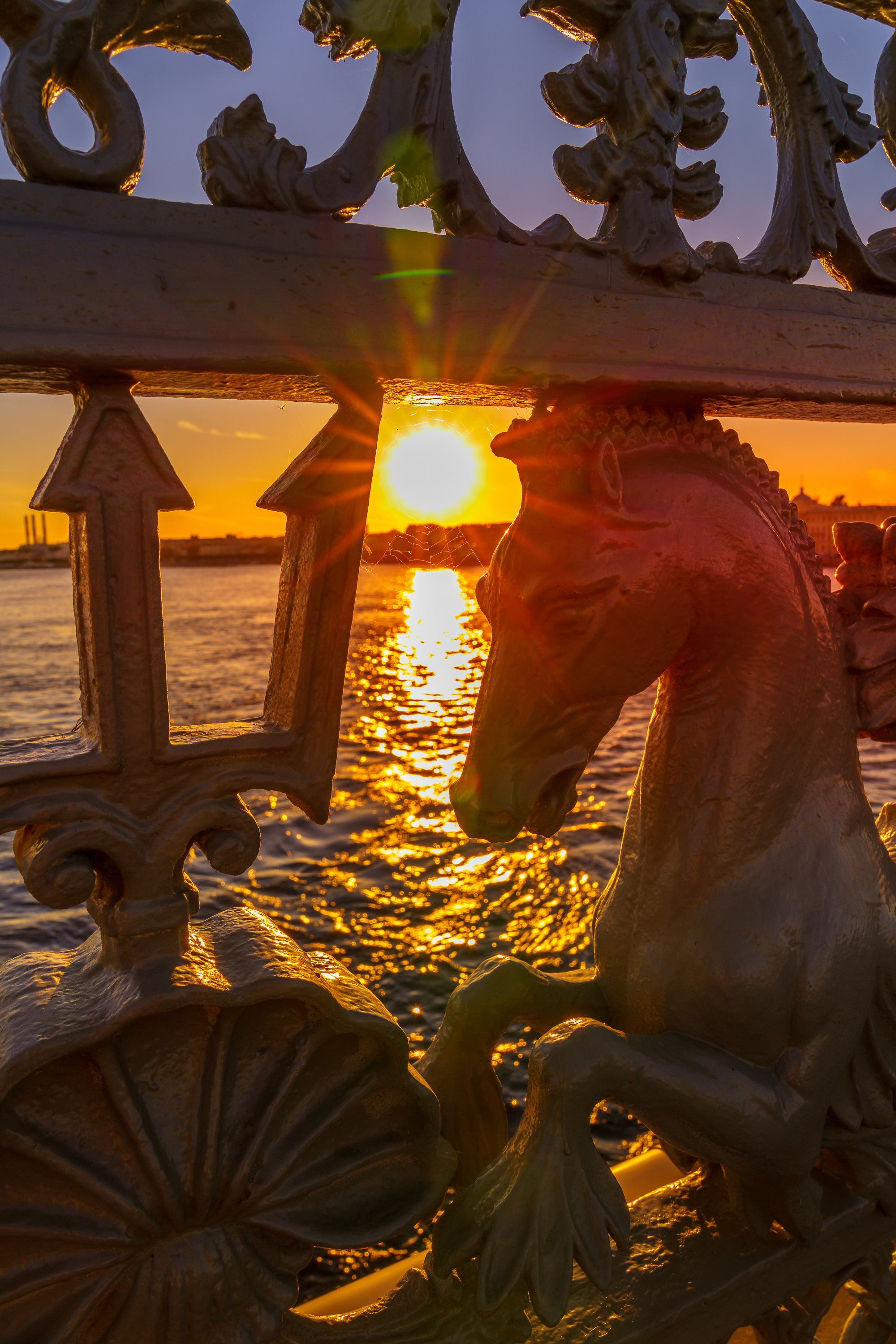 Russia (Saint-Petersburg). Ilya Melnik Photography