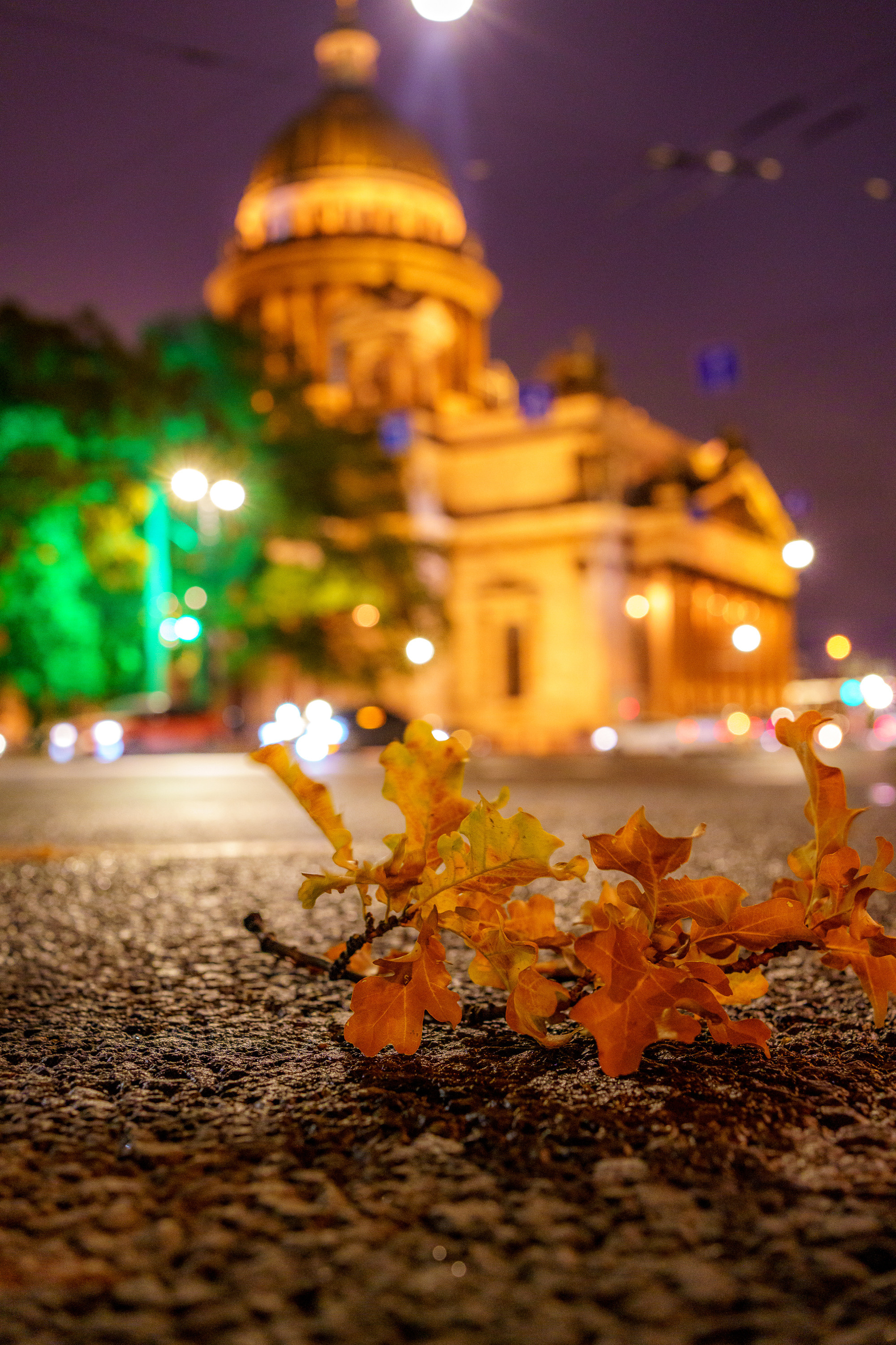Russia (Saint-Petersburg). Ilya Melnik Photography