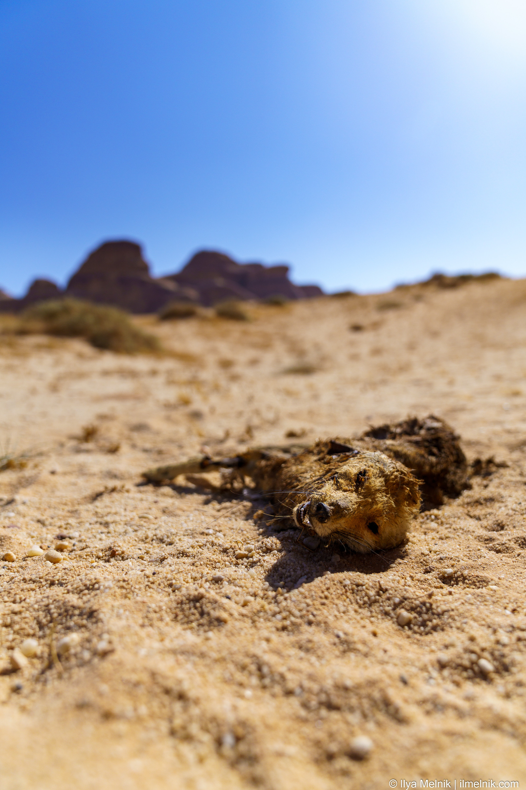 Saudi Arabia. Ilya Melnik Photography