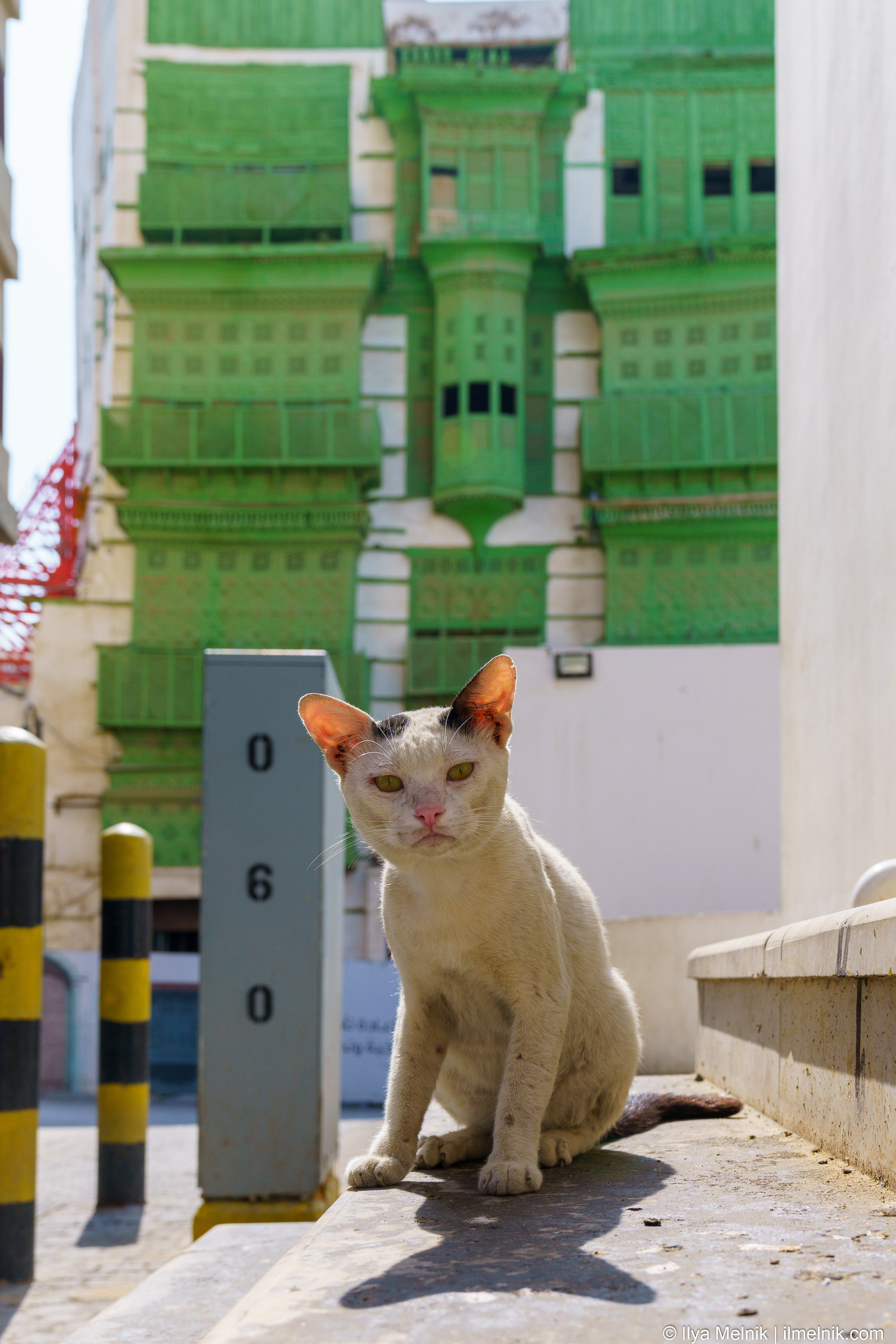 Saudi Arabia. Ilya Melnik Photography