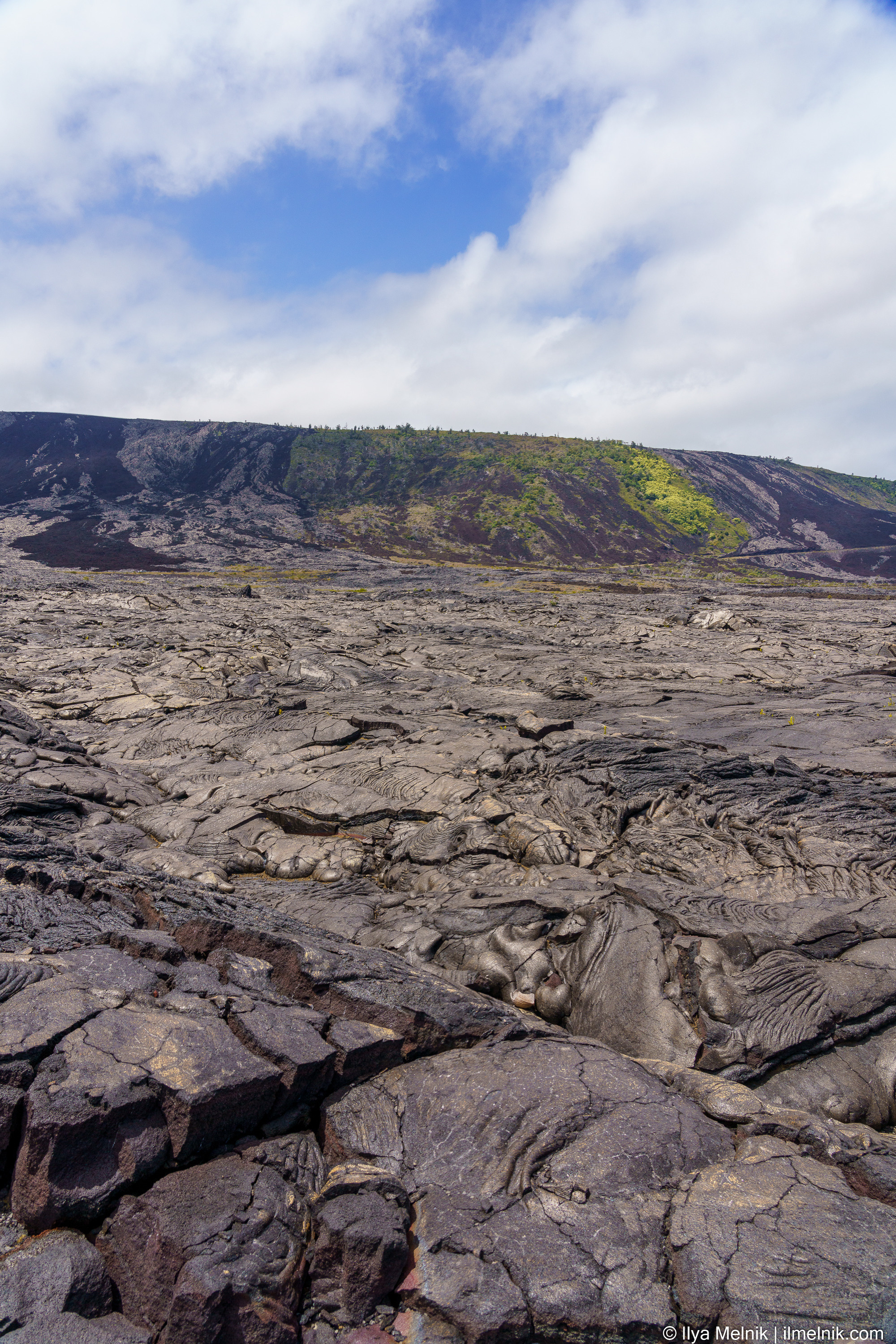 USA. Ilya Melnik Photography