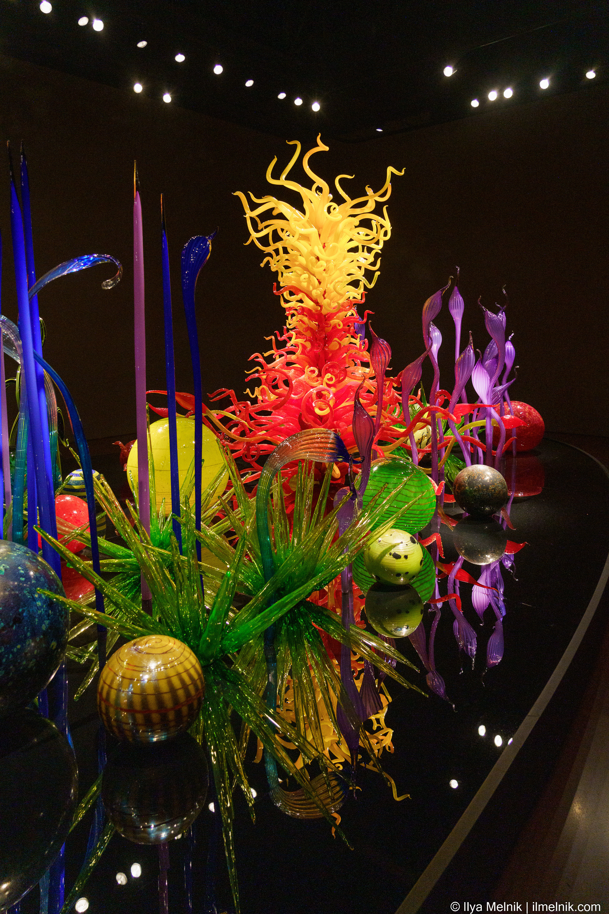 USA. Ilya Melnik Photography