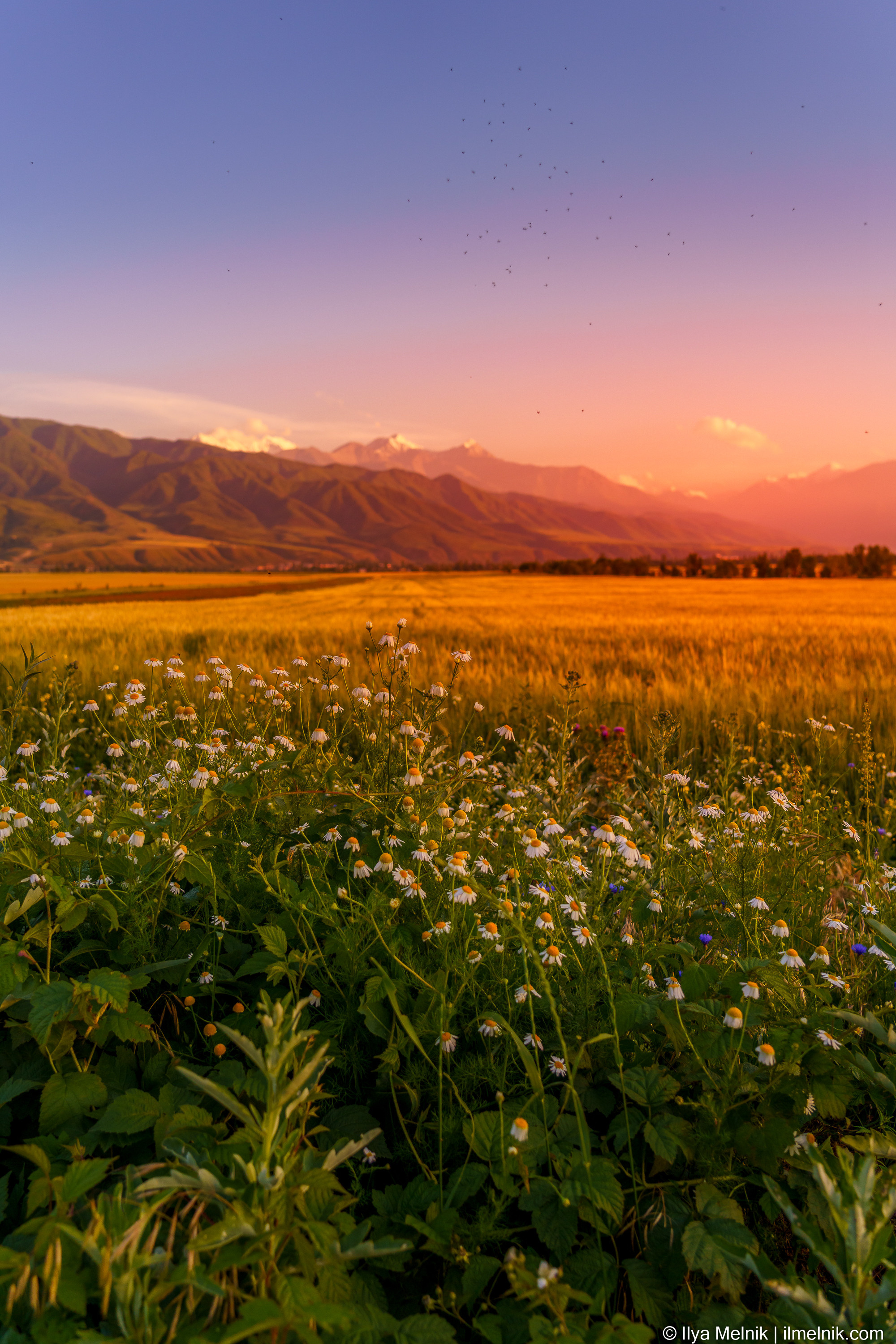 Kyrgyzstan. Ilya Melnik Photography