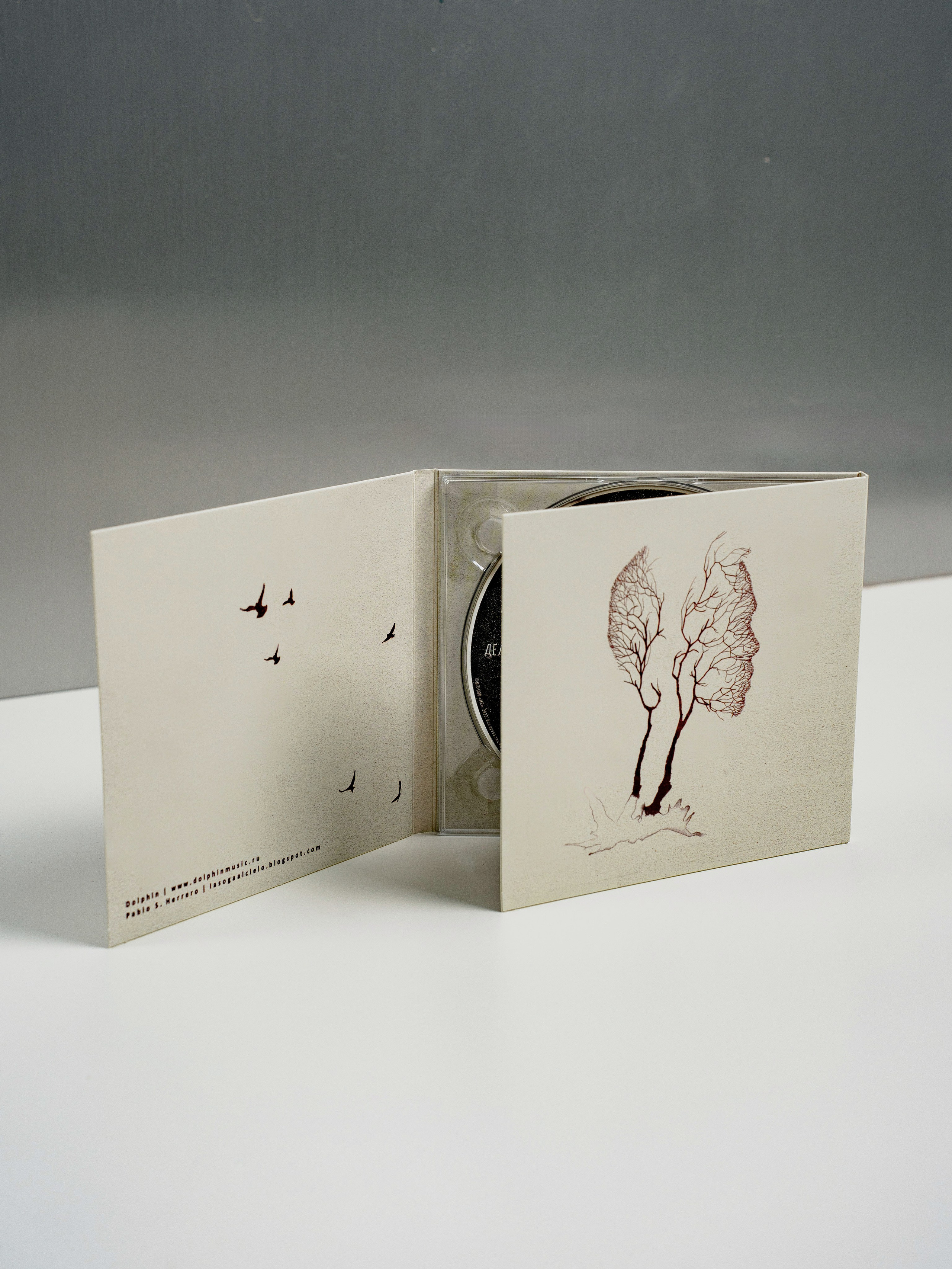 Дельфин. Портретный фотограф Москва Белогорцев Сергей