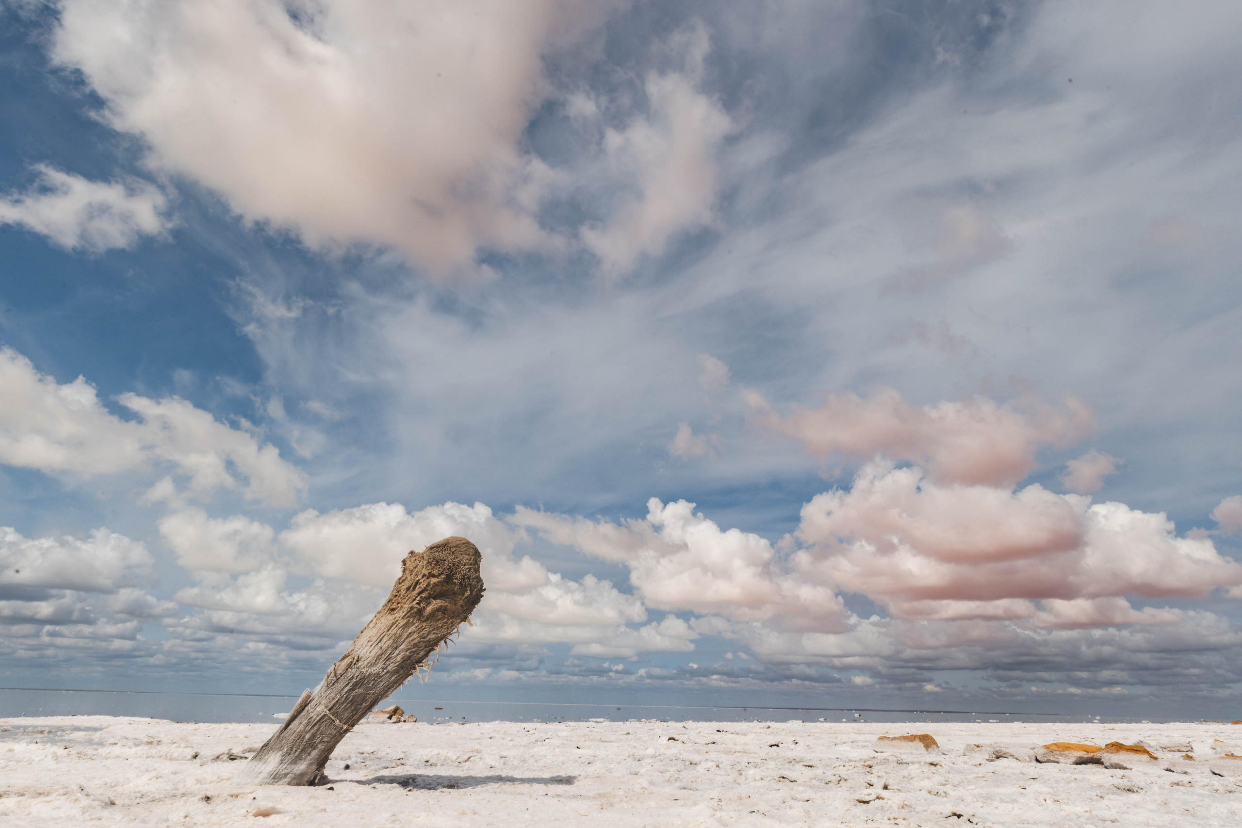 Природа. Репортажный фотограф. Из России с любовью