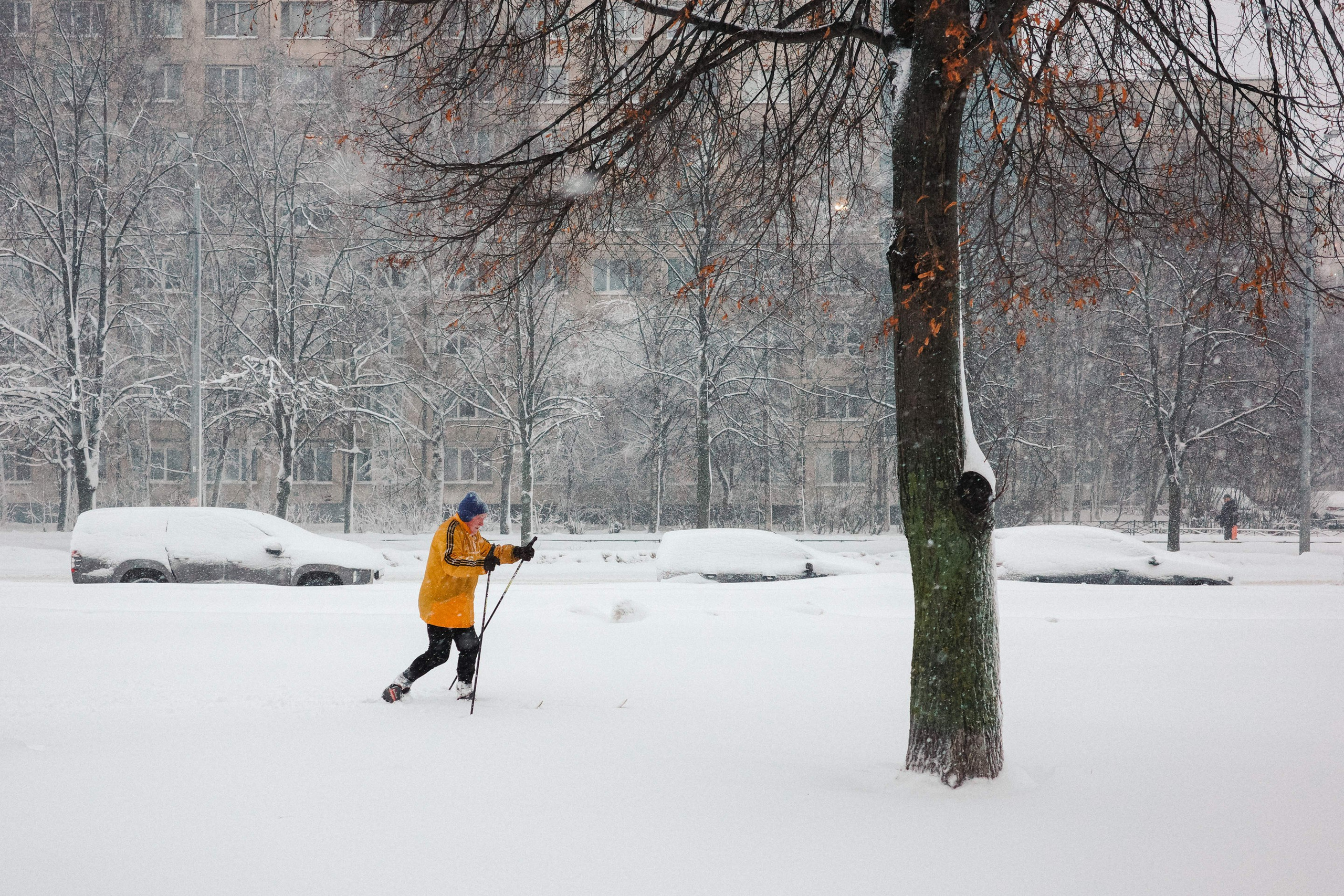 2025.01. Фотограф Алексей Алексеев