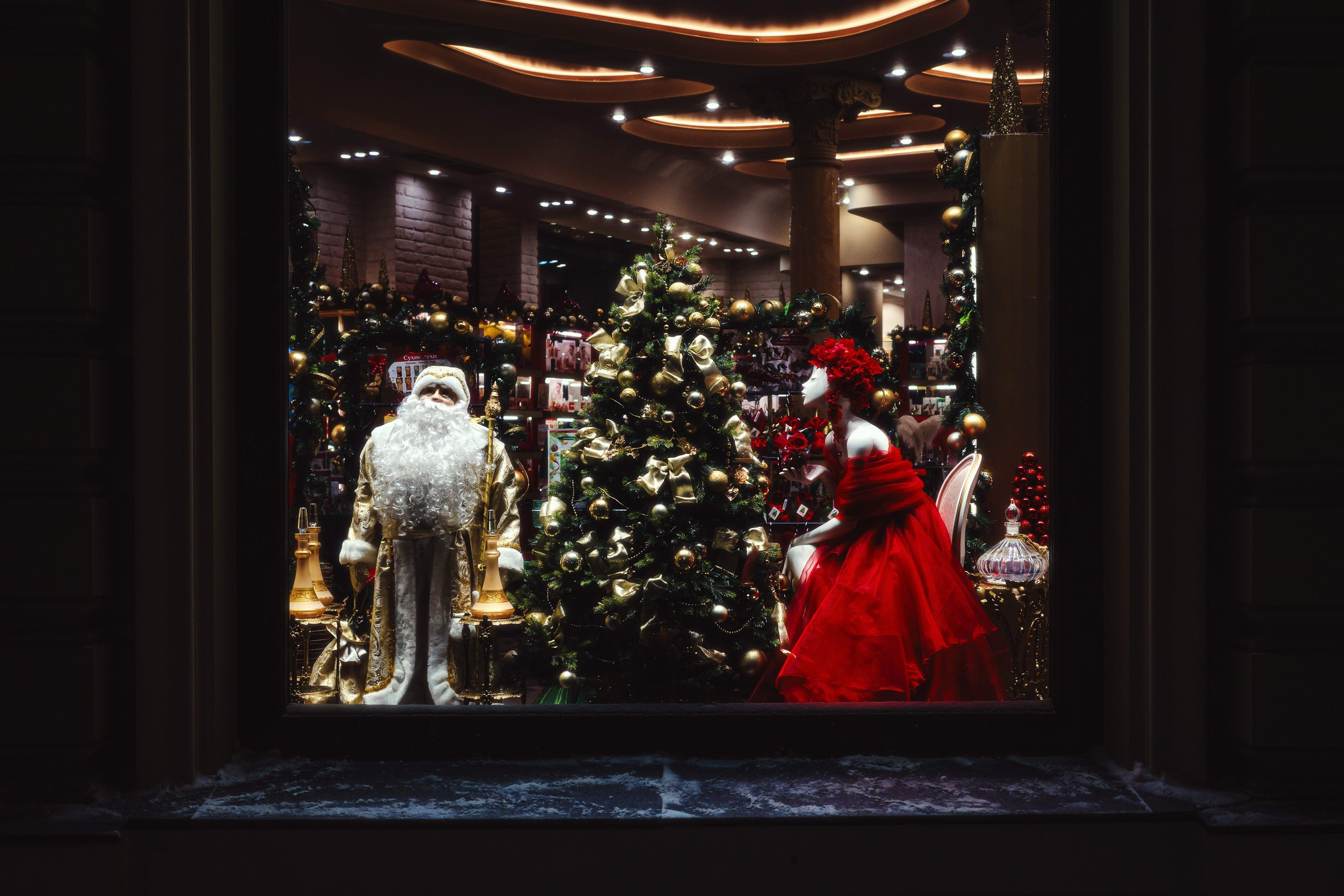 2023.12. Фотограф Алексей Алексеев