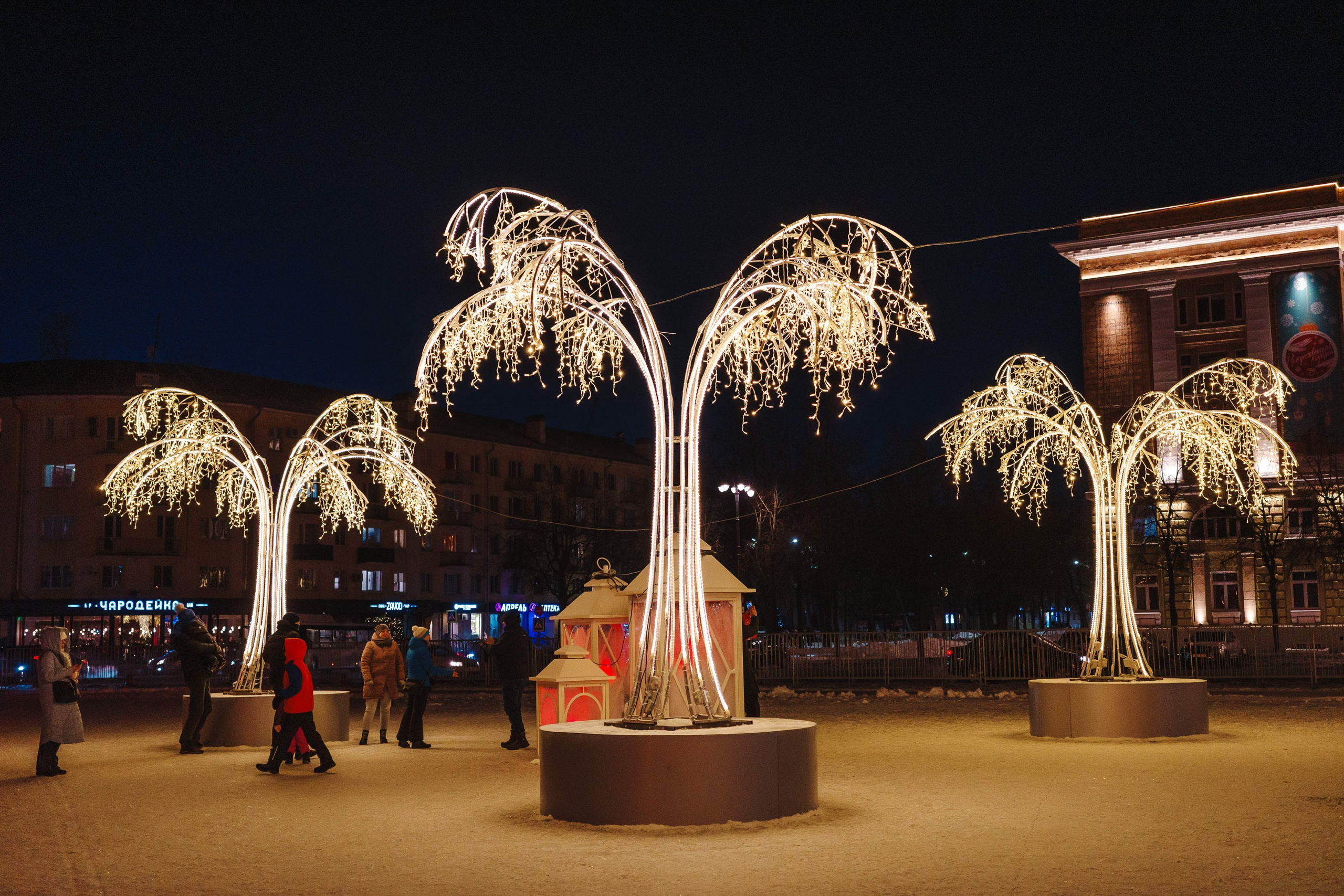 2024.01. Фотограф Алексей Алексеев