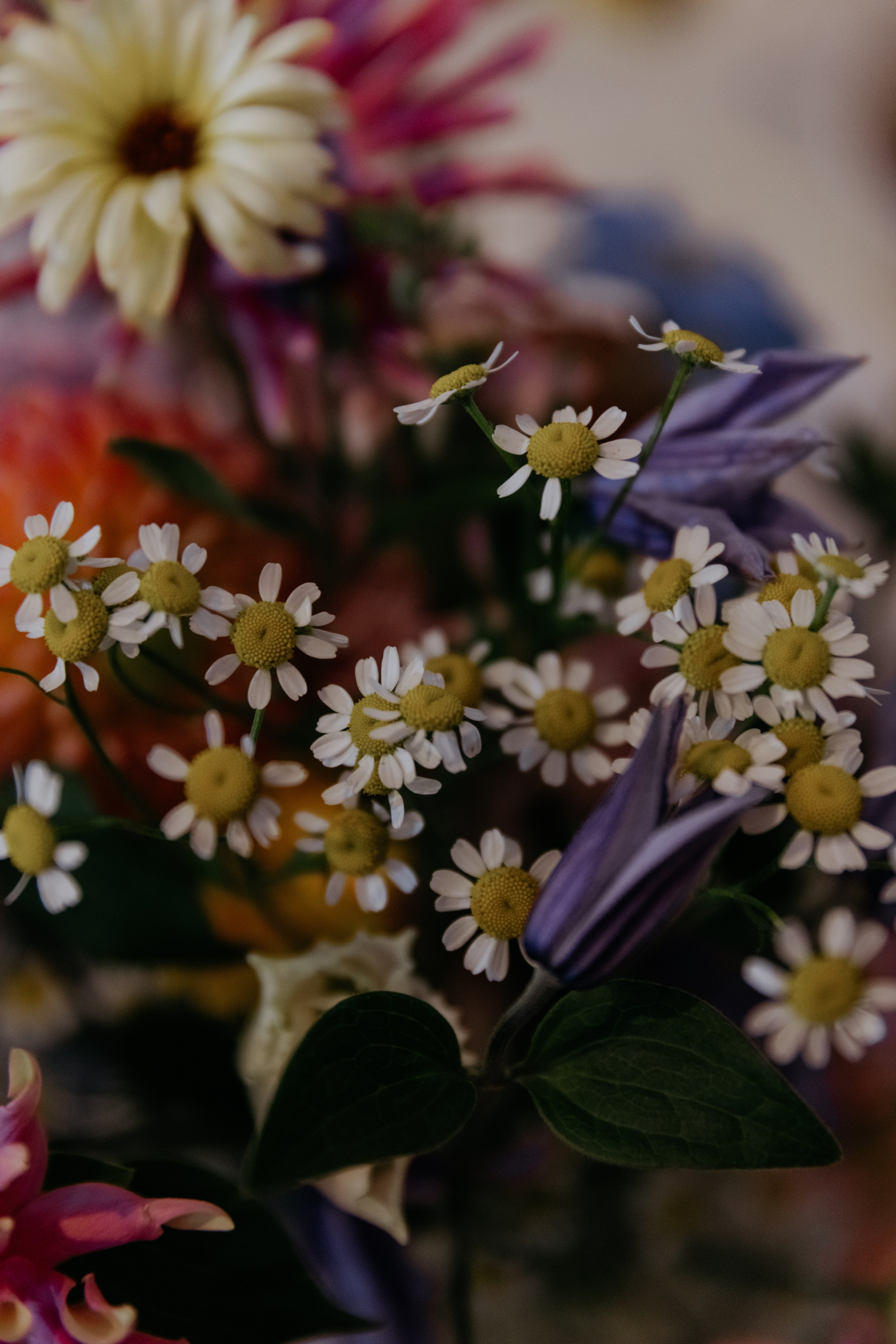 L’amore passa sette muri. Свадебный и репортажный фотограф в Санкт-Петербурге
