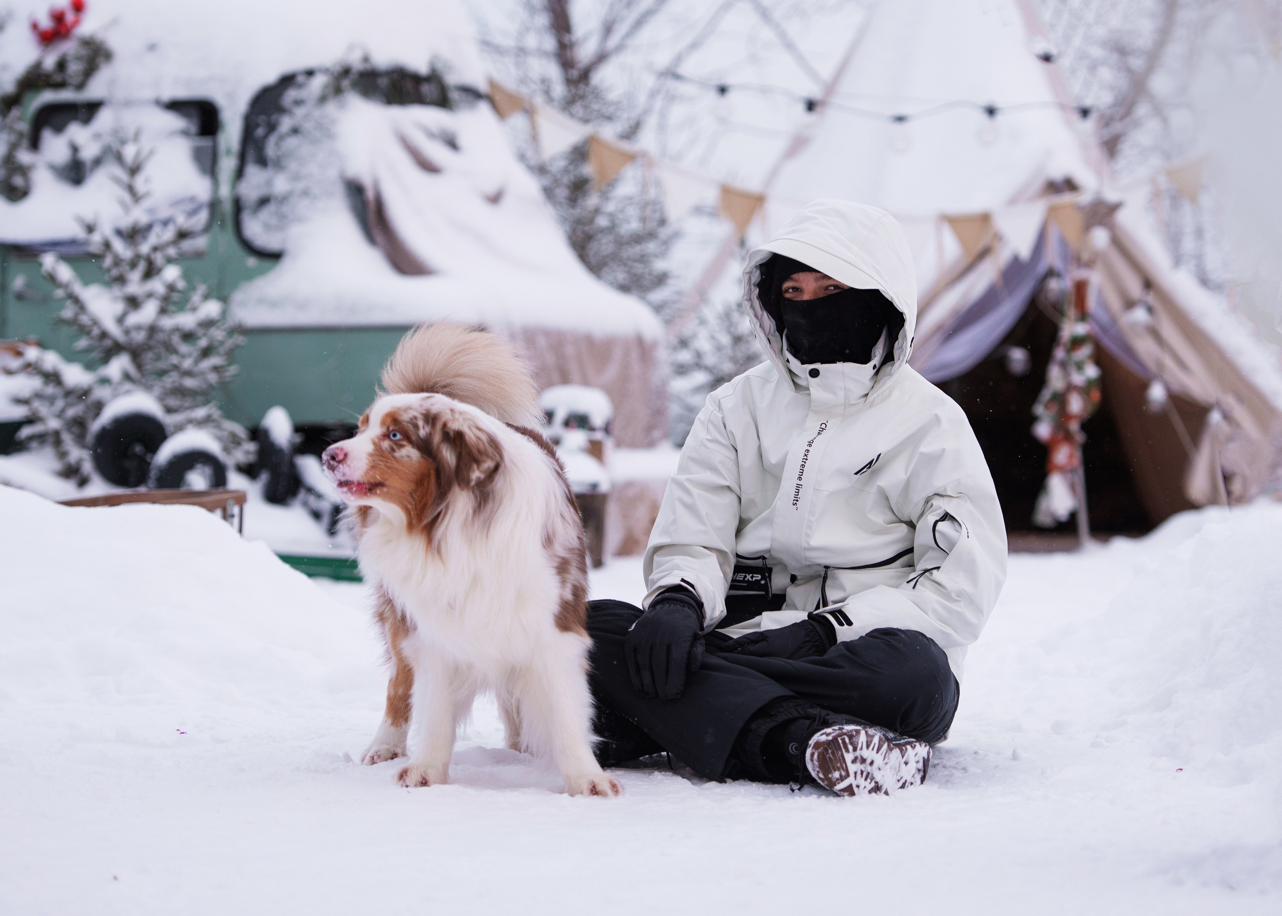 Аусси и его семья. Дог-фотограф в Тюмени Александра Королева