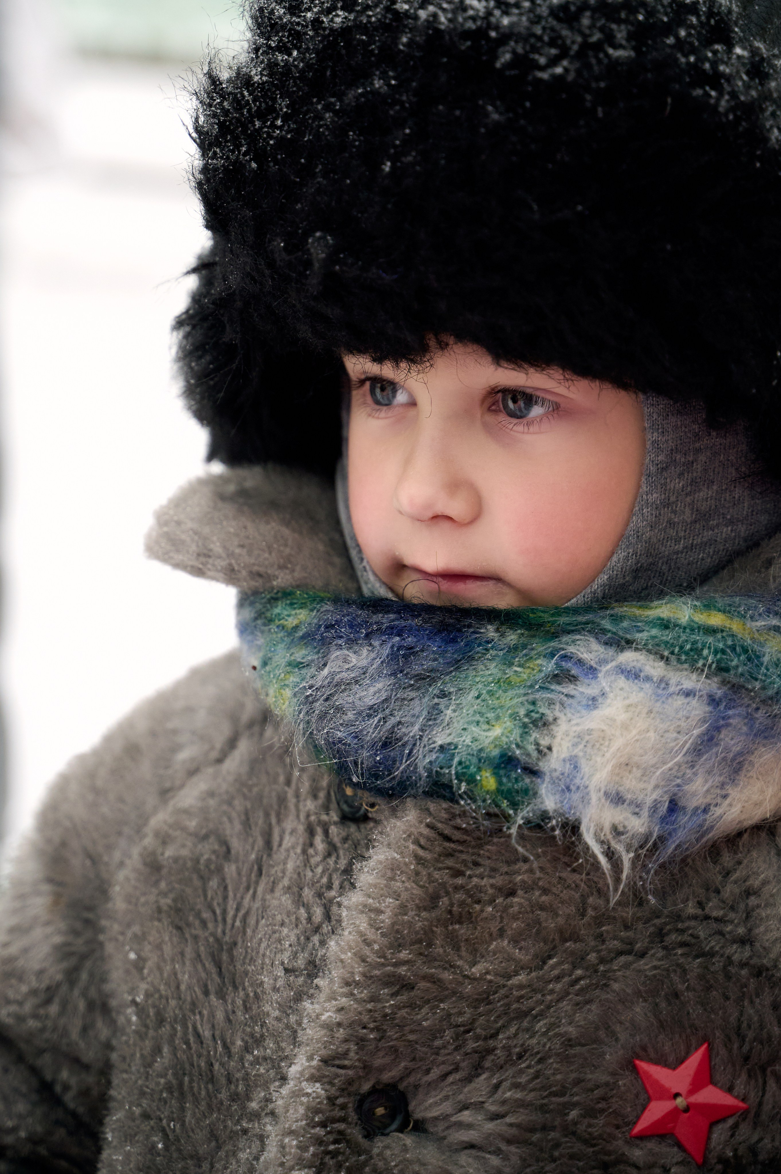 Северный олень. Фотограф Егорьевск Коломна Воскресенск