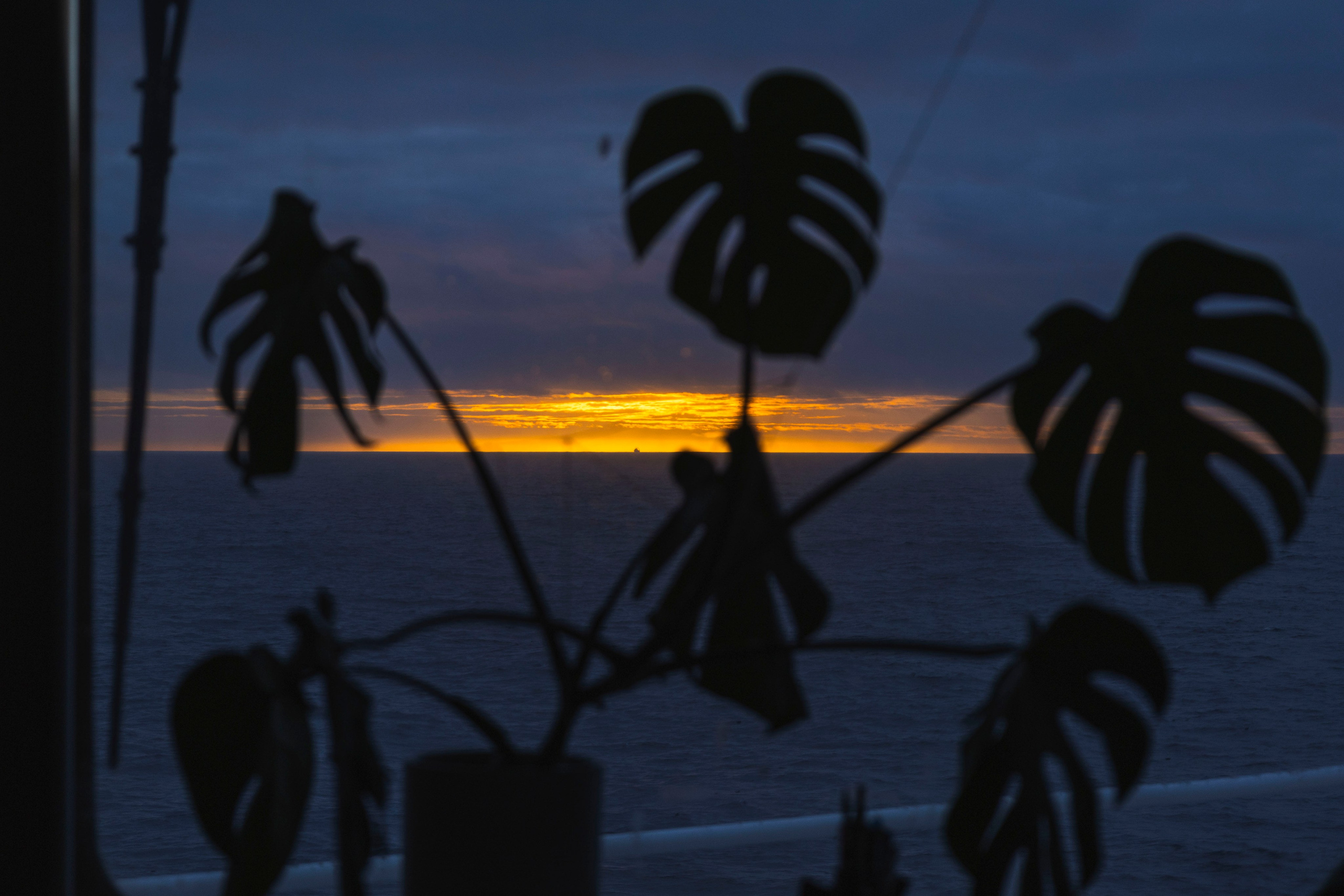 Когда я в море. Часть 2. Фотограф г. Владивосток