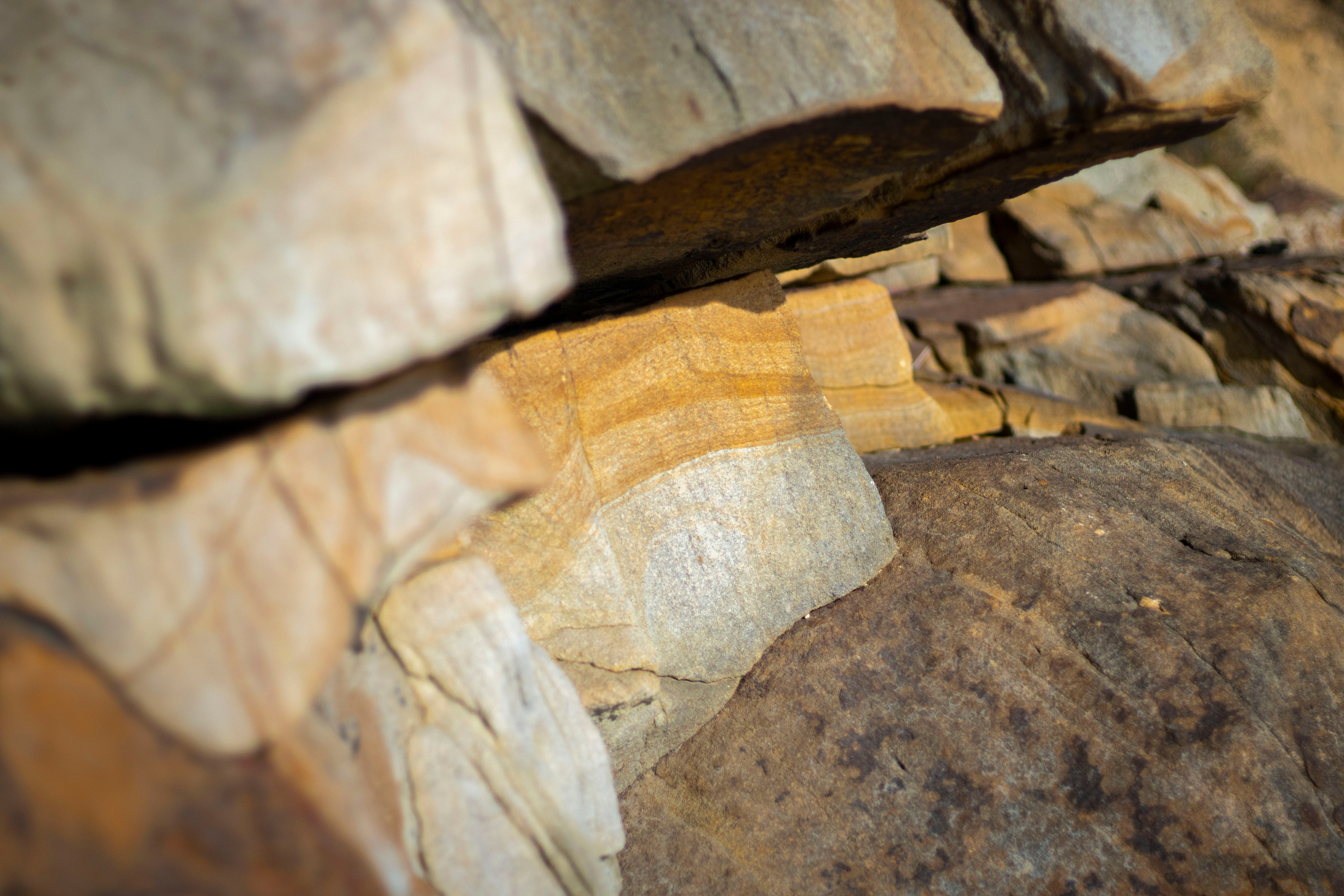 Пейзажи и Природа. Фотограф г. Владивосток