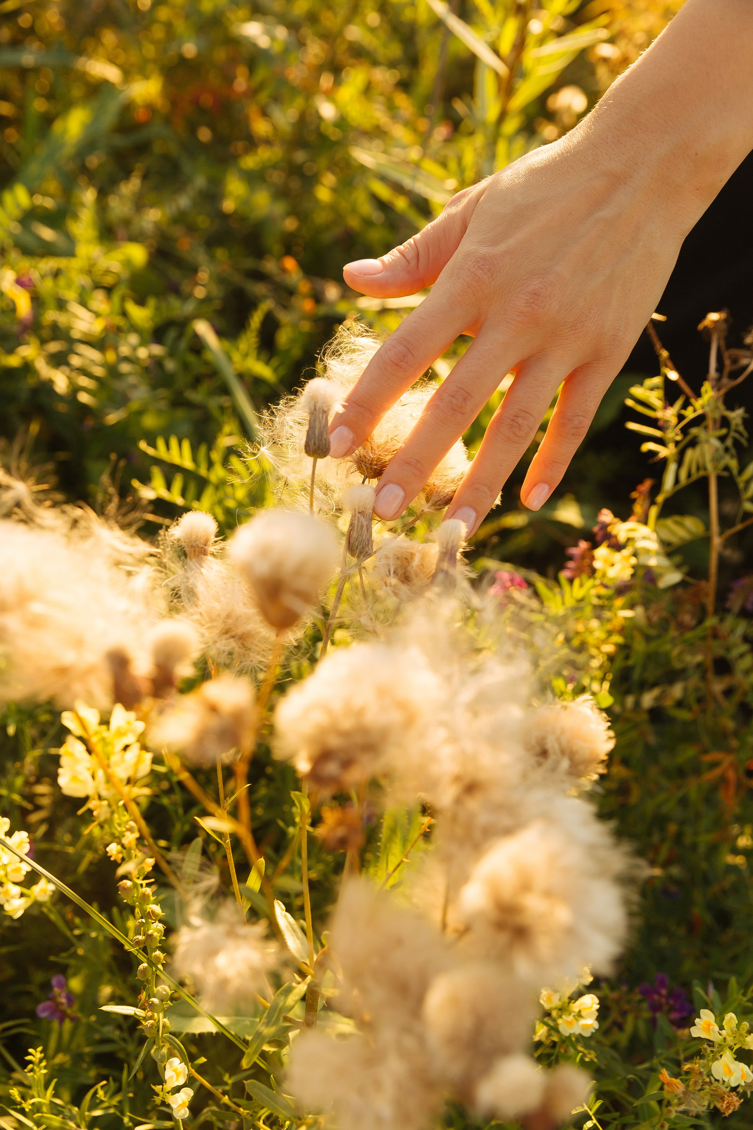 Прогулка. Фотограф в Красноярске Любовь Малеева