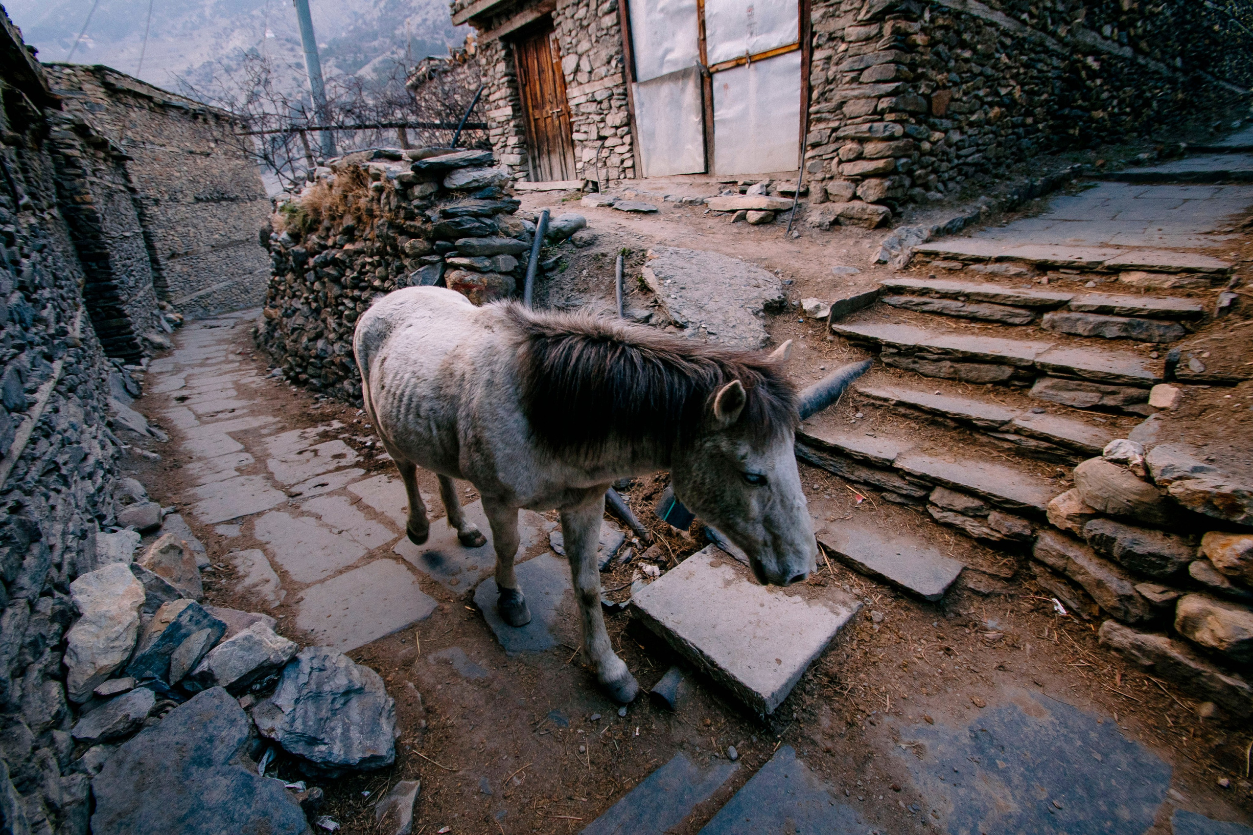 Annapurna trek. Iraogo