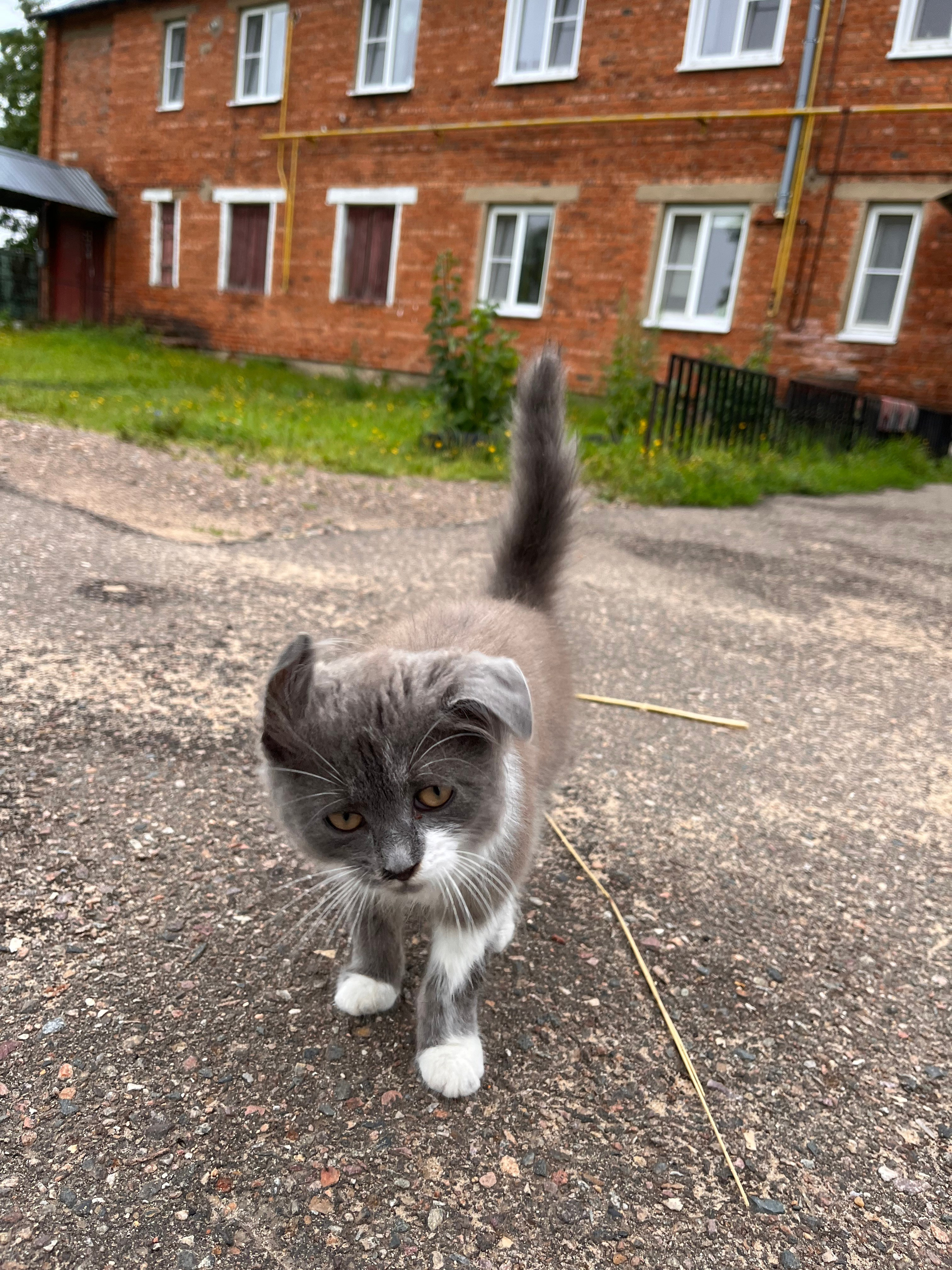 Ярославль, 2022. Портретный фотограф в Москве Евгения Яковенко