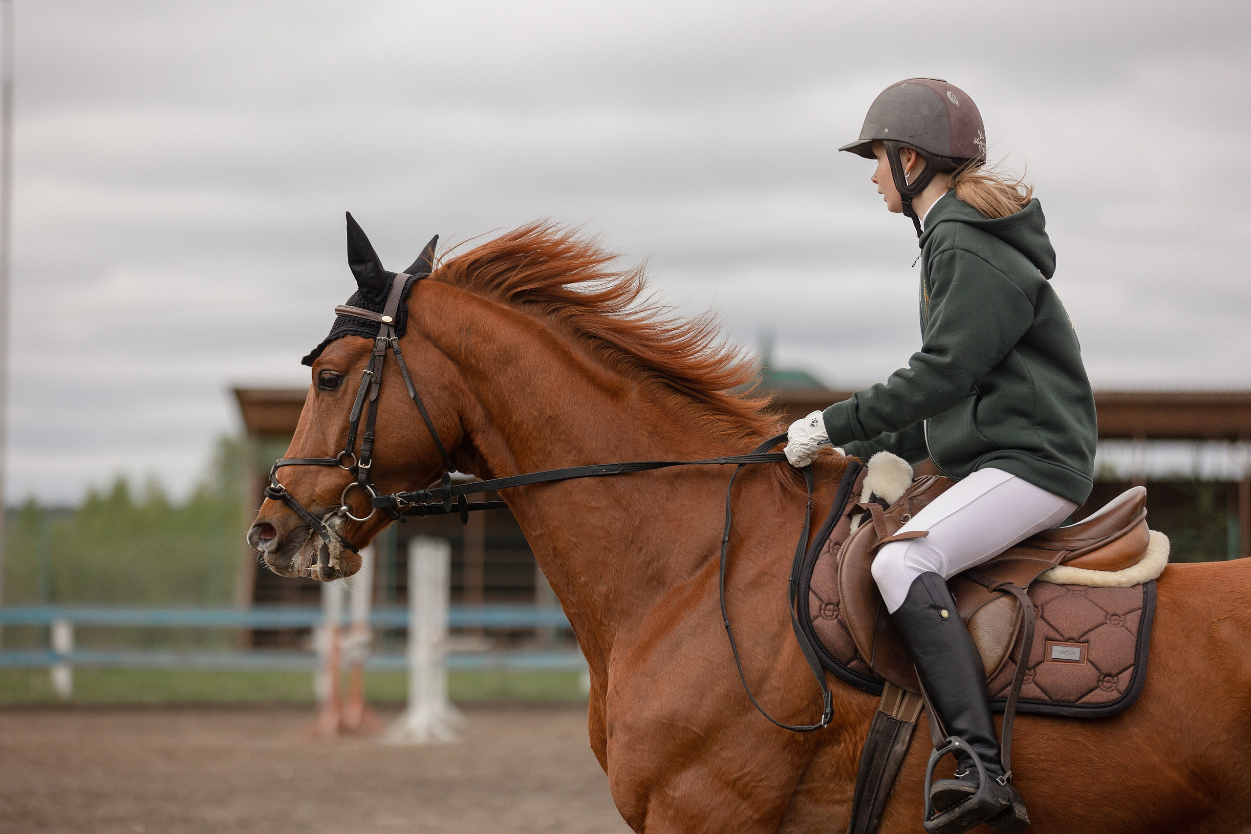 Соревнования по конному спорту. Конный фотограф Валынкина Лера