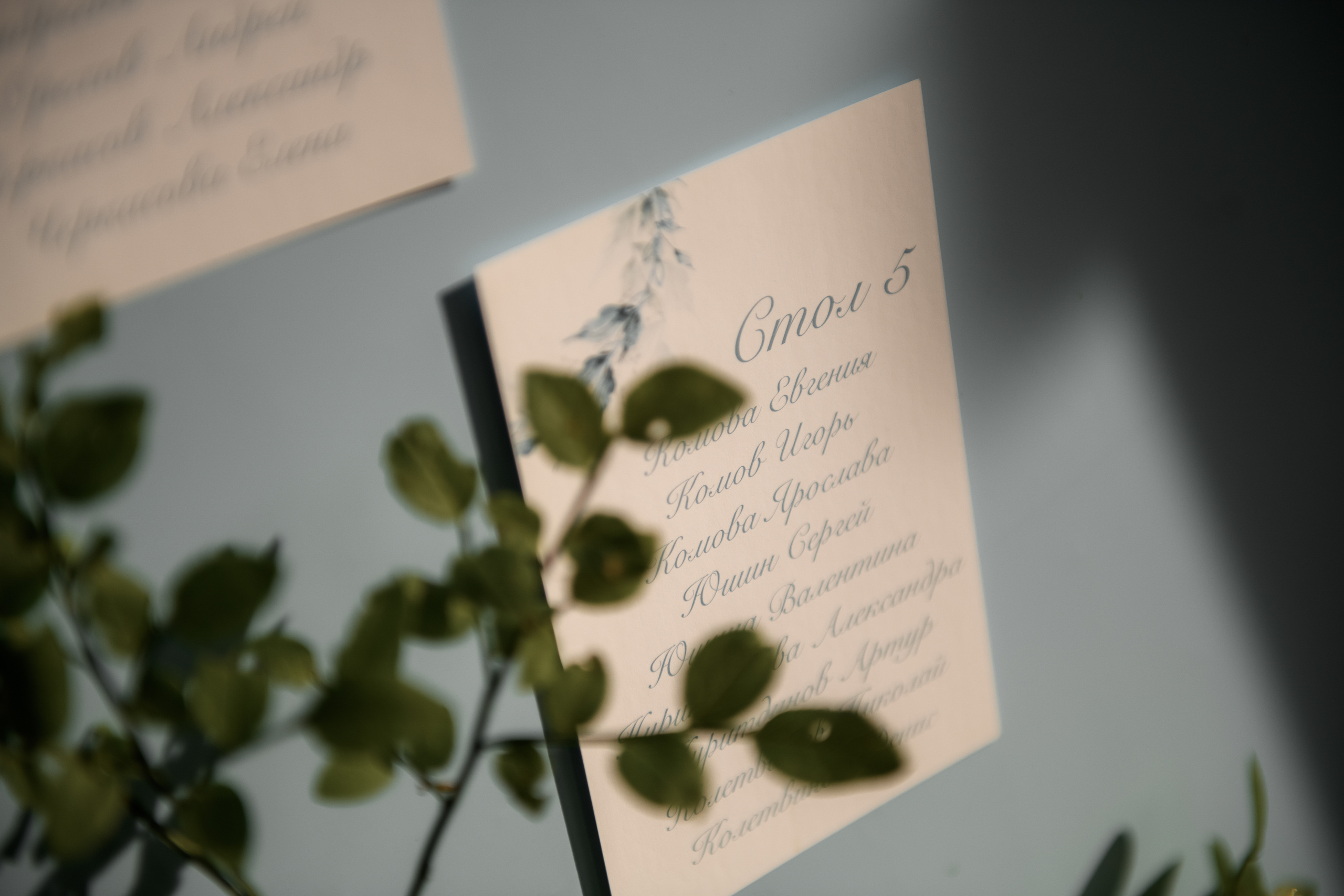 Тепло и искренность. Анна Чугунова