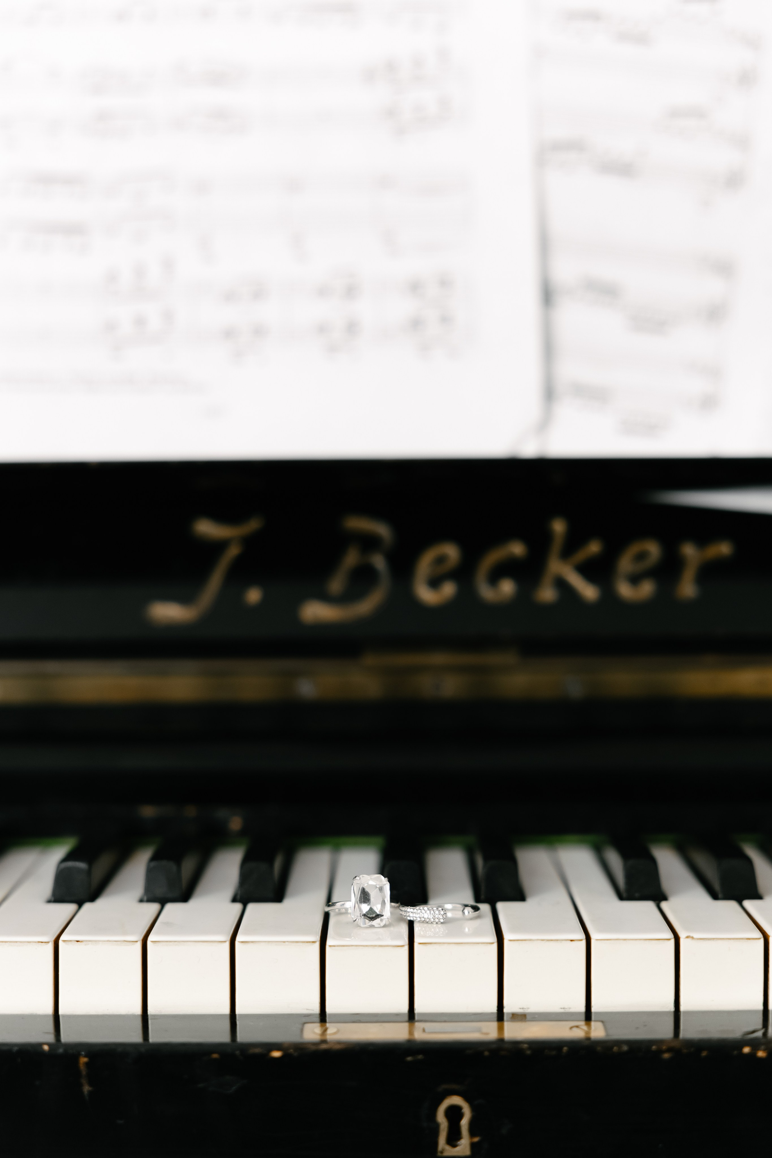 Александра и Евгений. Свадебный фотограф Татьяна Домарева