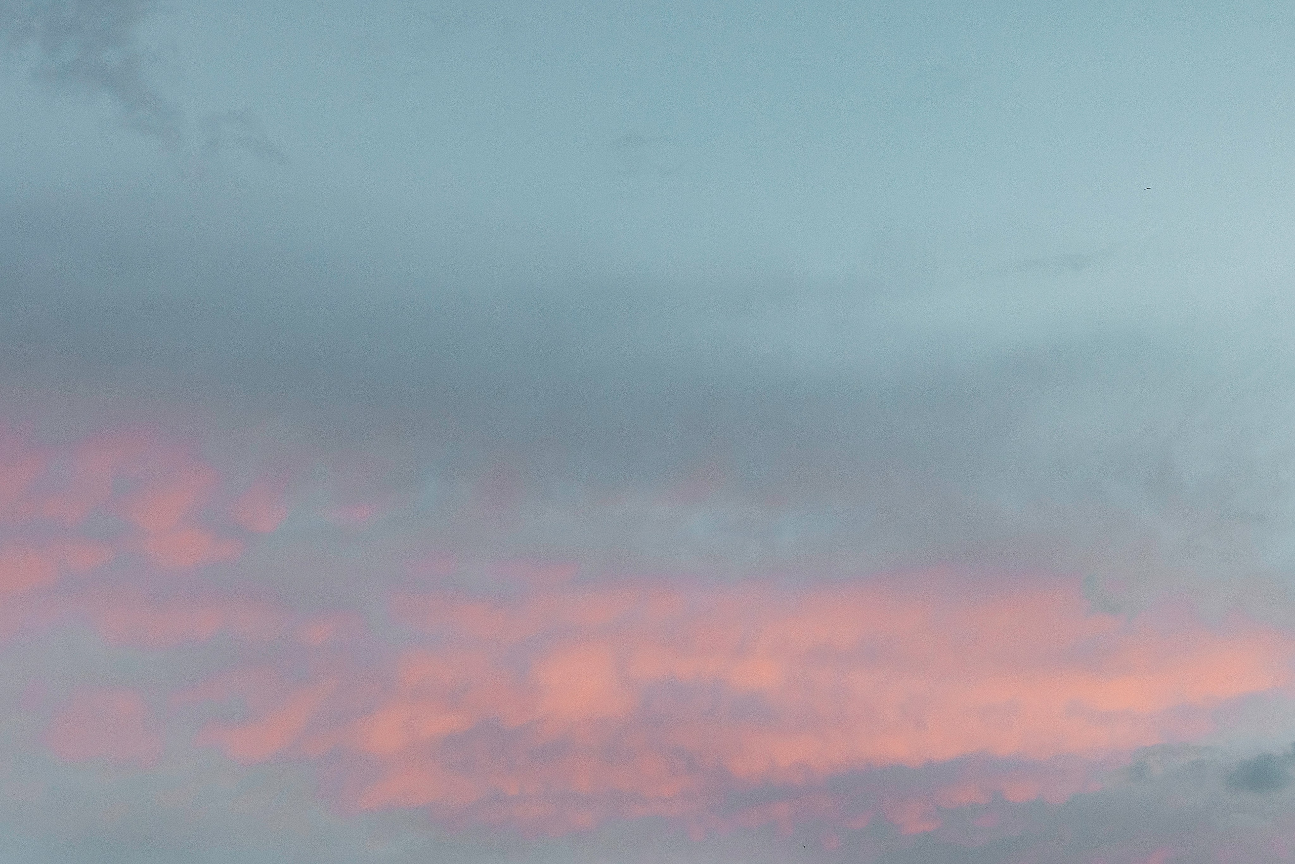 Тимофей и Олеся