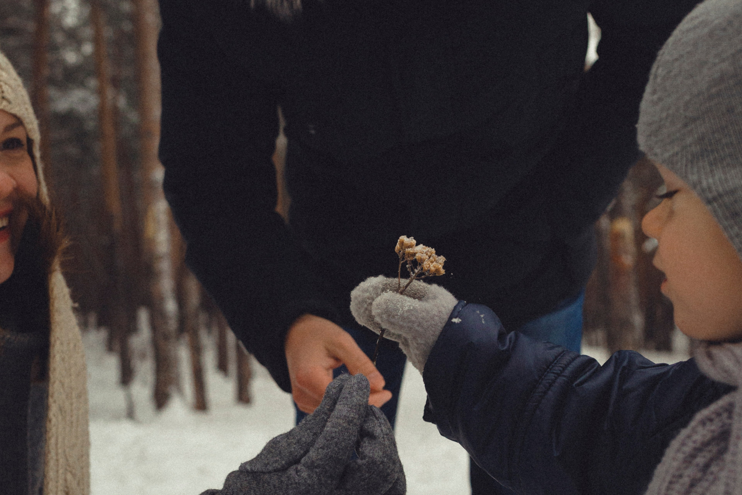Семейная фотосессия в зимнем лесу. Марина Рерих — портретный фотограф в Екатеринбурге
