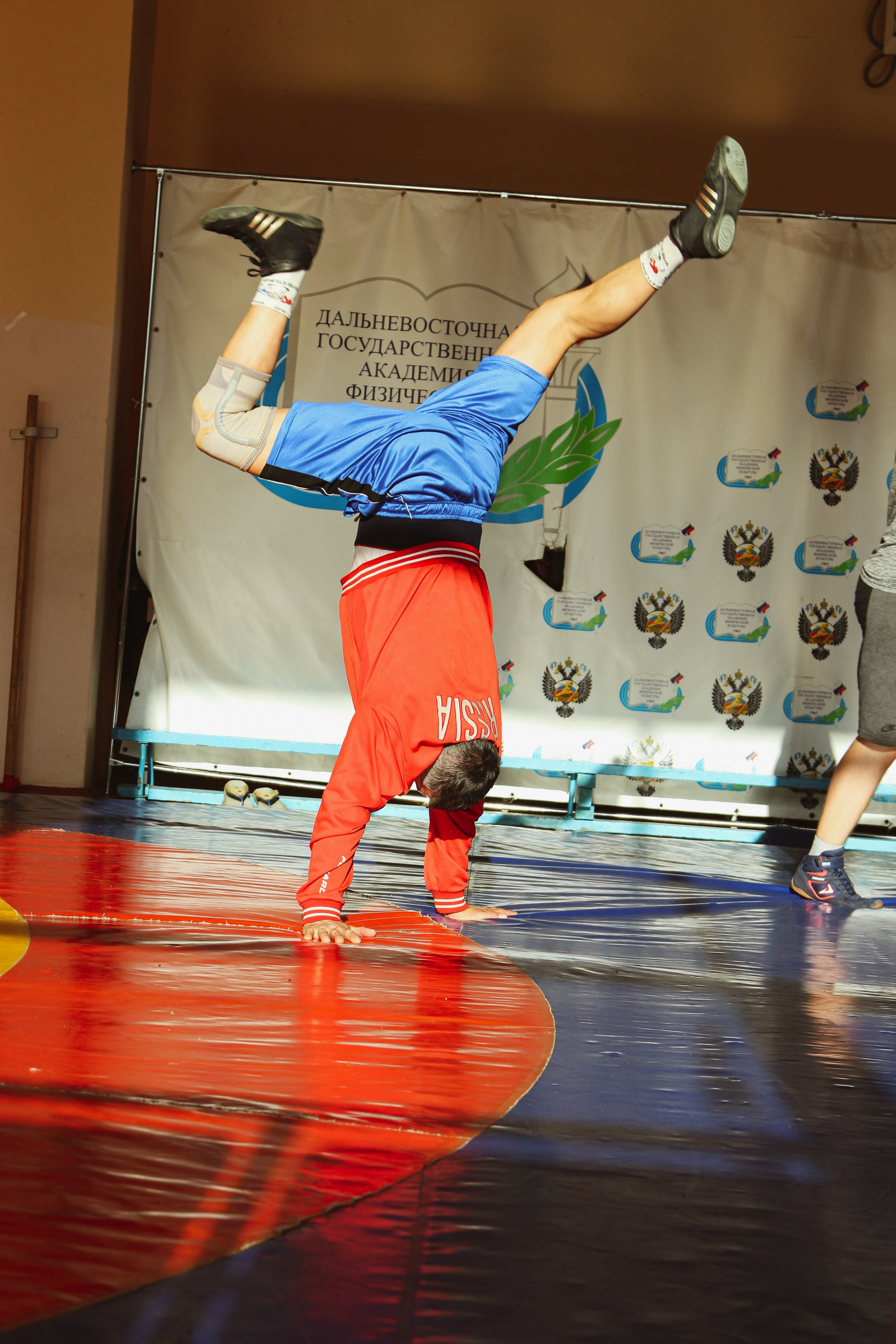 Борьба. Алиса Томшина — Фотограф / Видеограф