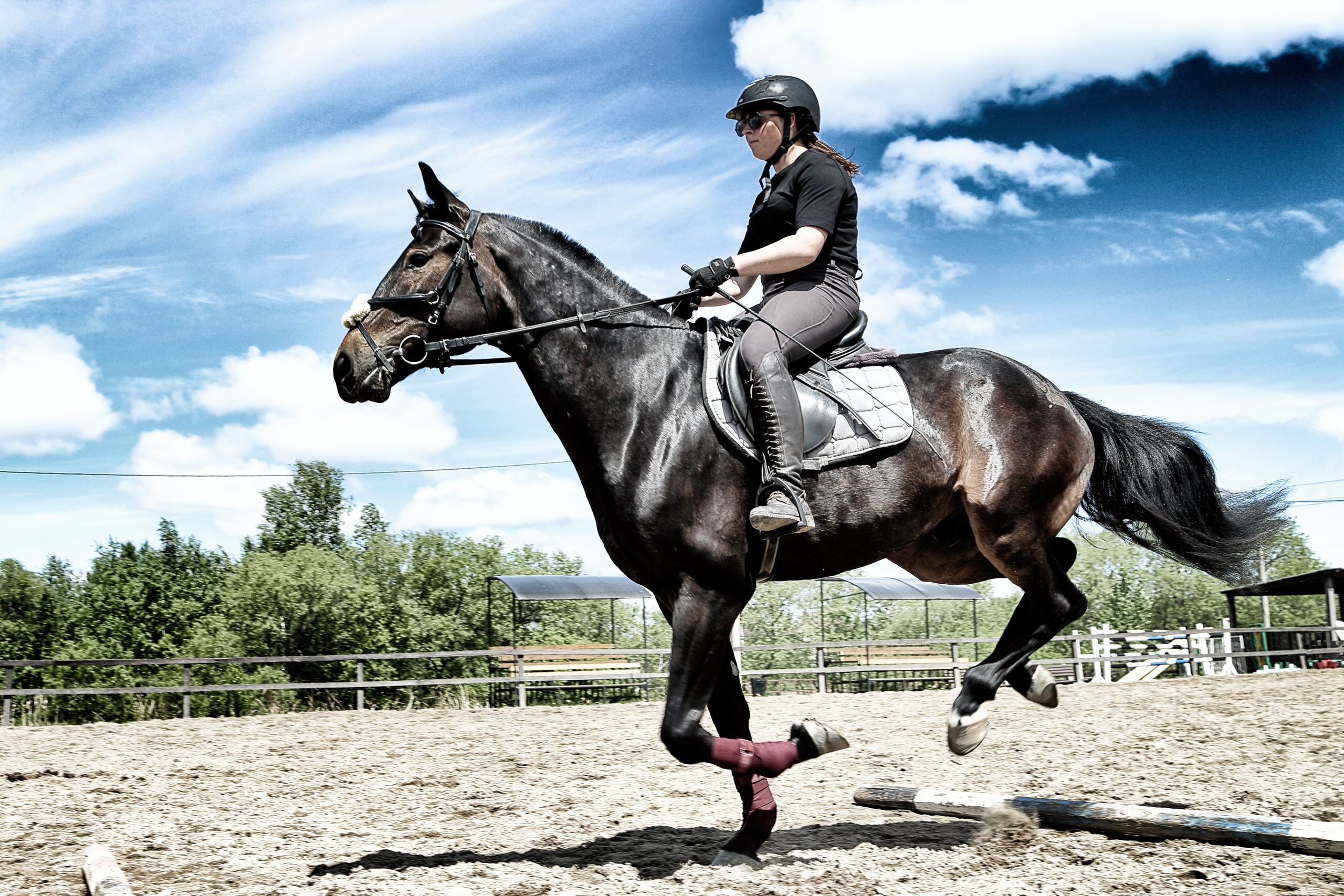 Лошади «Каскад» и «Брилиант». Алиса Томшина — Фотограф / Видеограф