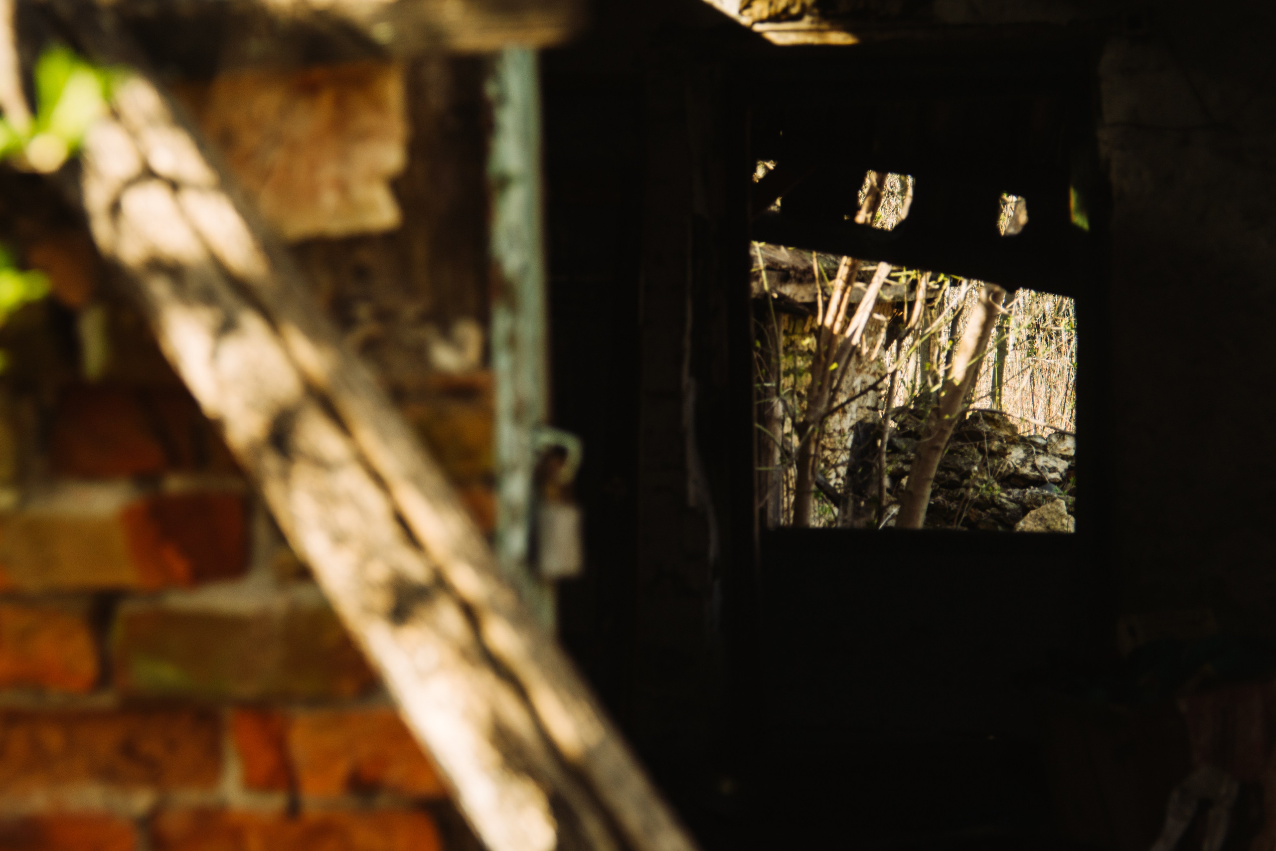 Орановка. Репортажный и портретный фотограф в Липецкой, Воронежской, Московской области Тёма Белоусов