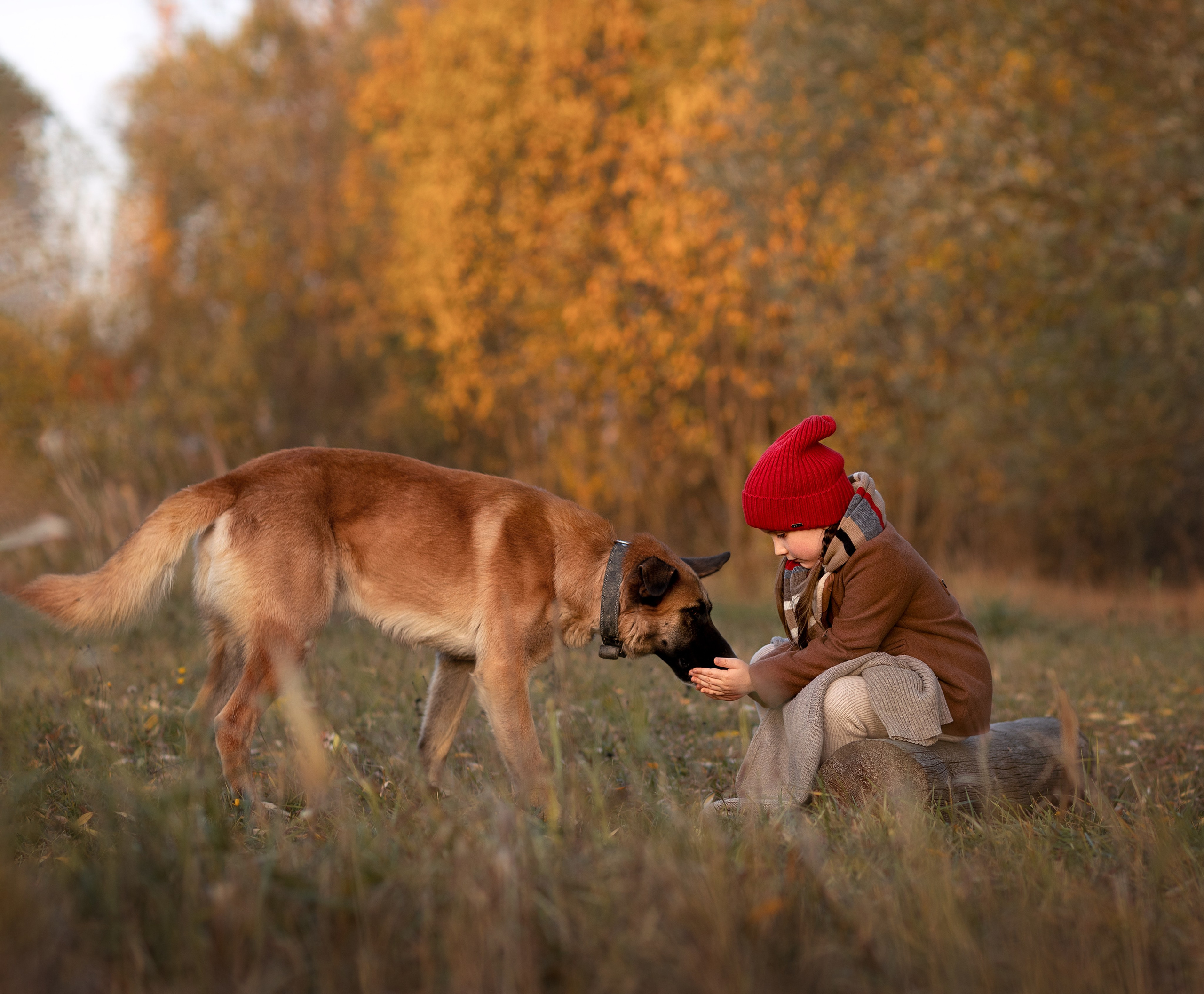 Фотосъемка на природе. Фотограф Анна Латыпова г. Клин