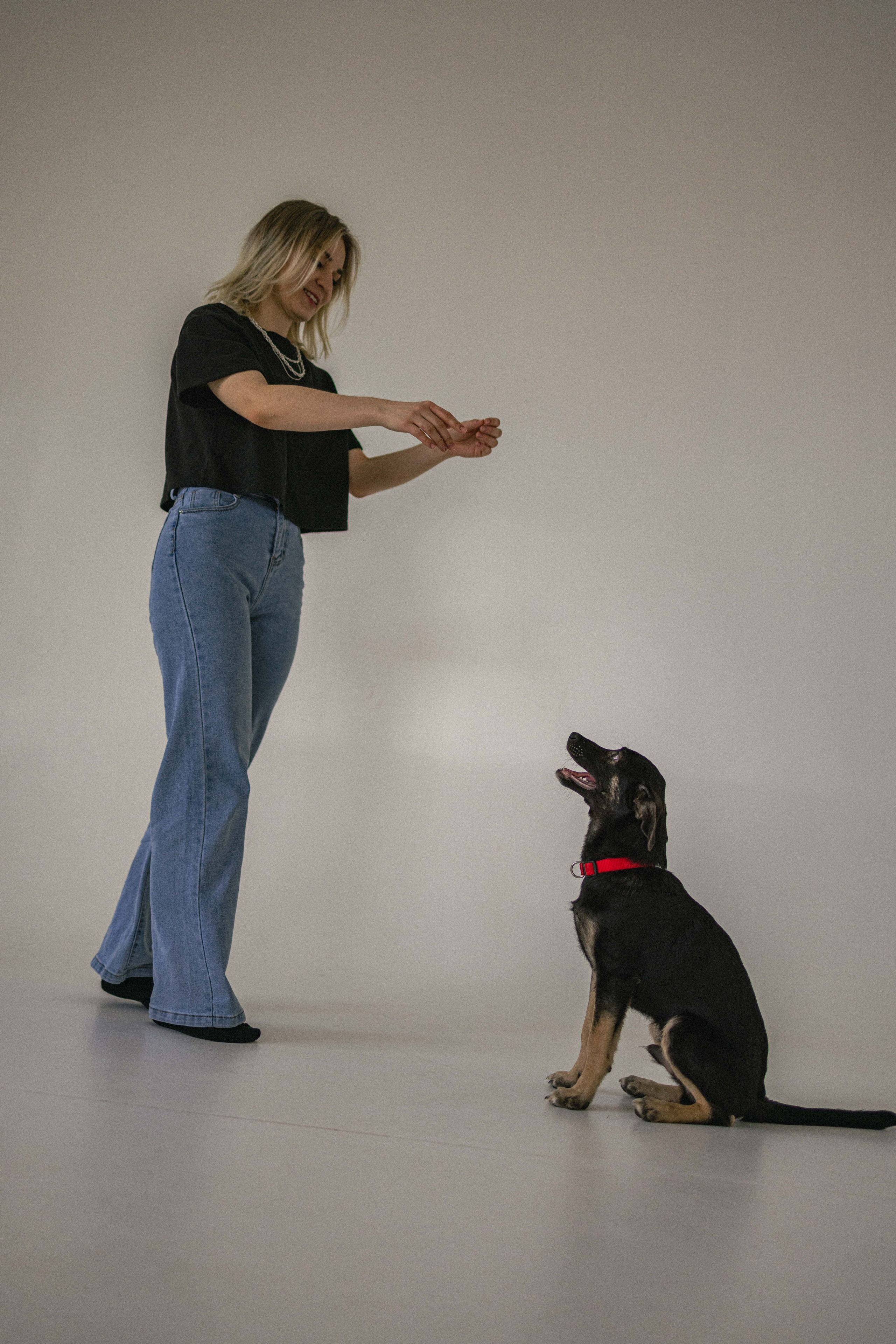 Крис и Тэдди. Фотограф-анималист в Москве Лера Черноног