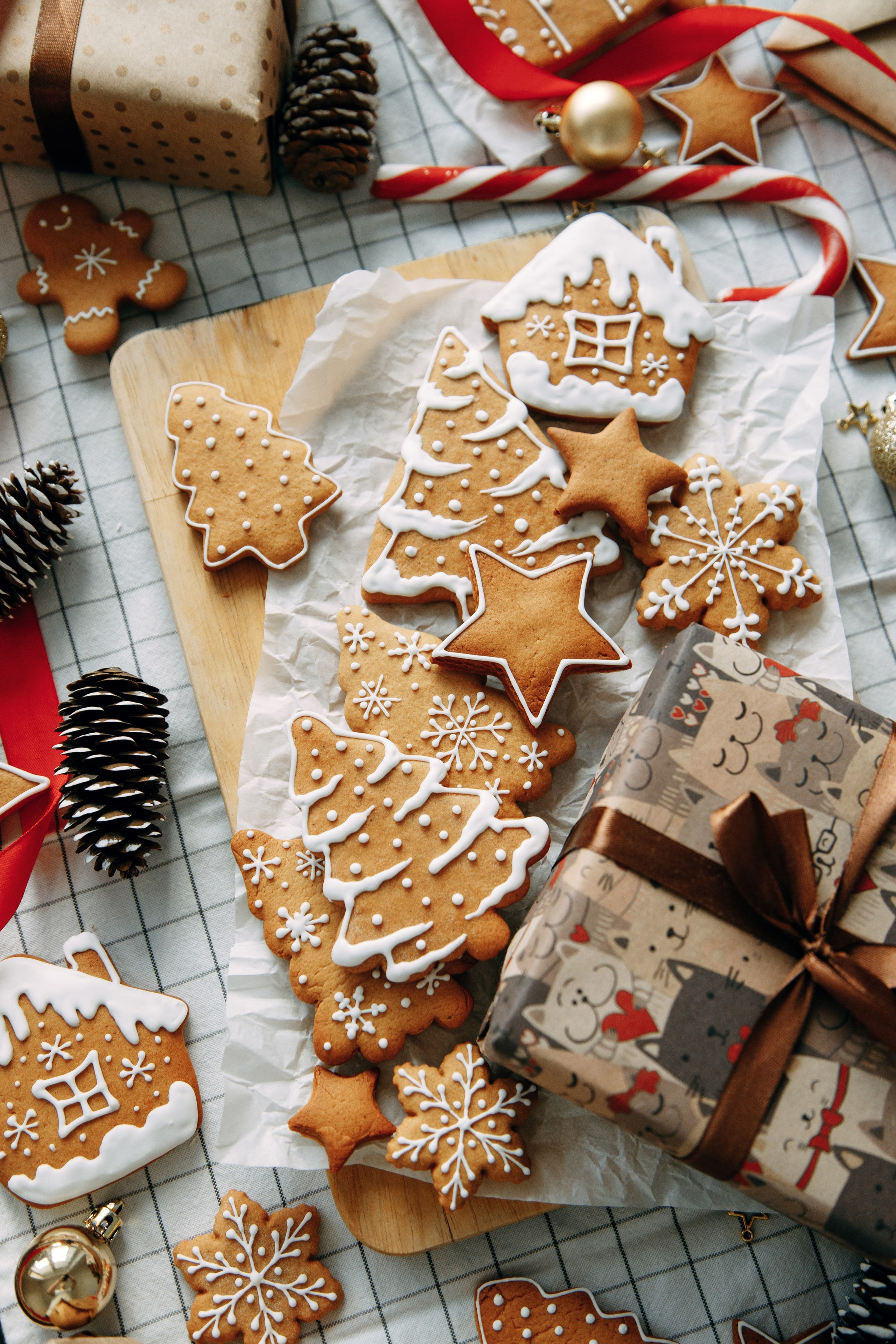 Портфолио Предметы