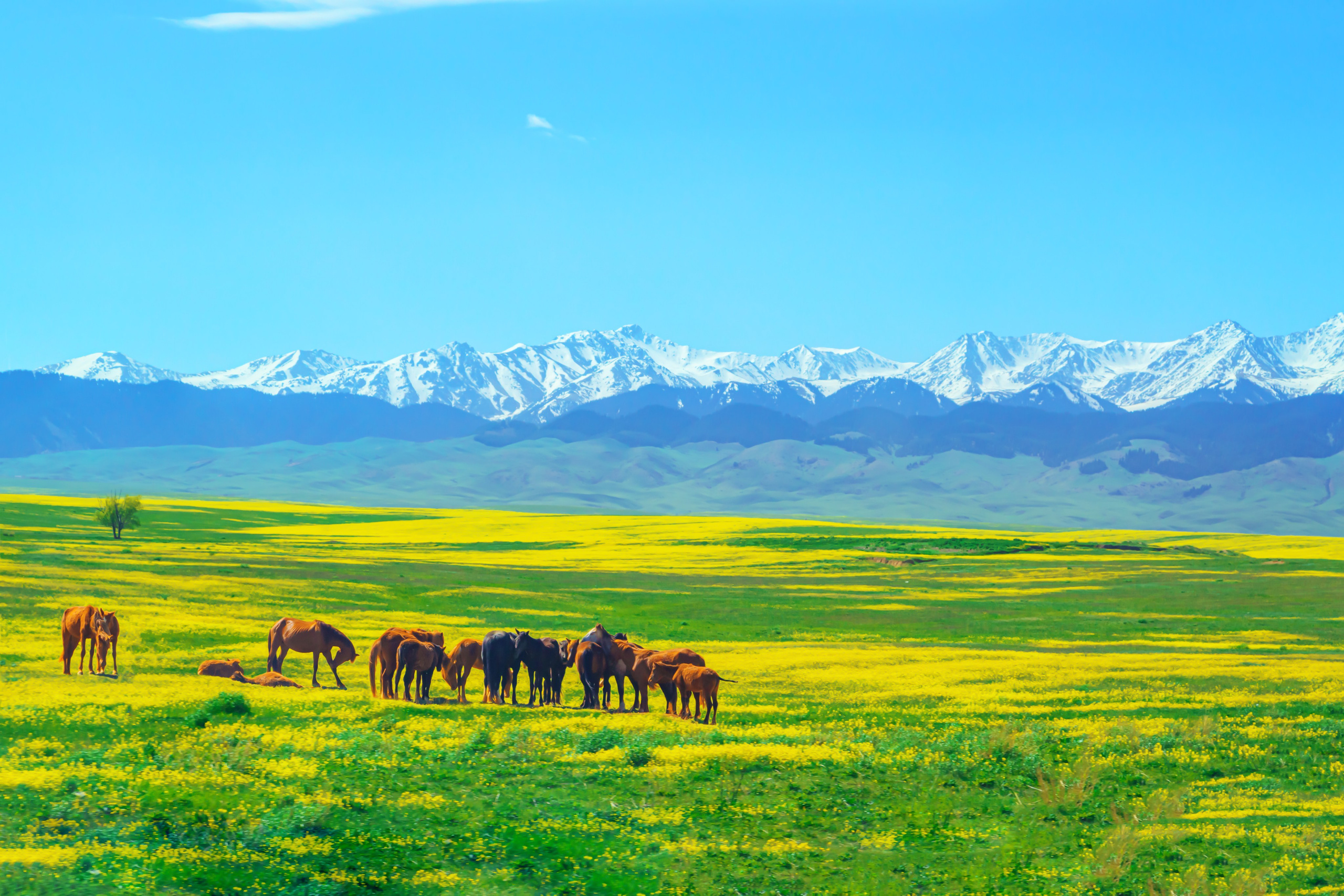 Казахстан. Тревел-фотограф Елизавета Ларионова
