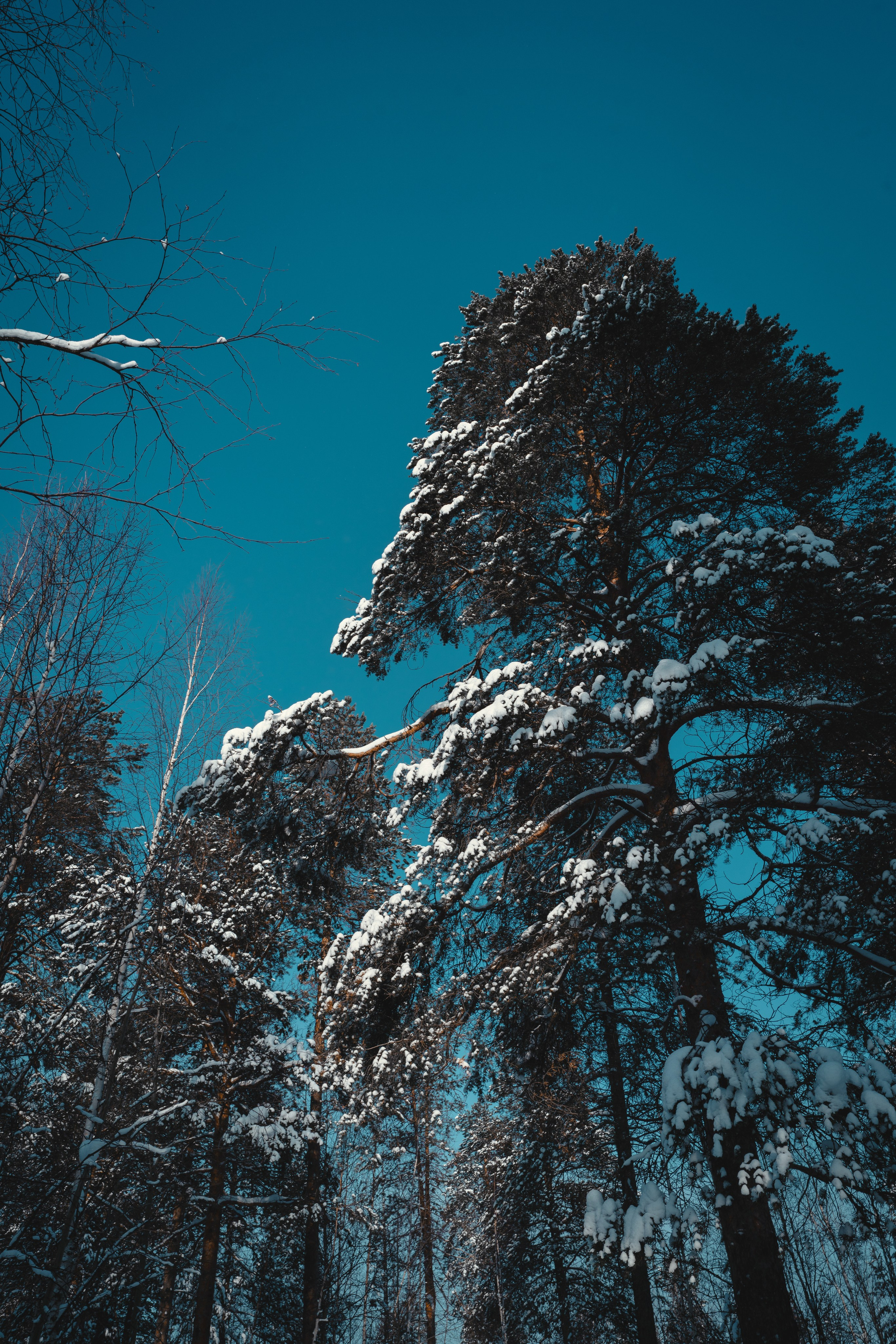 Ноябрьск, Март 2024