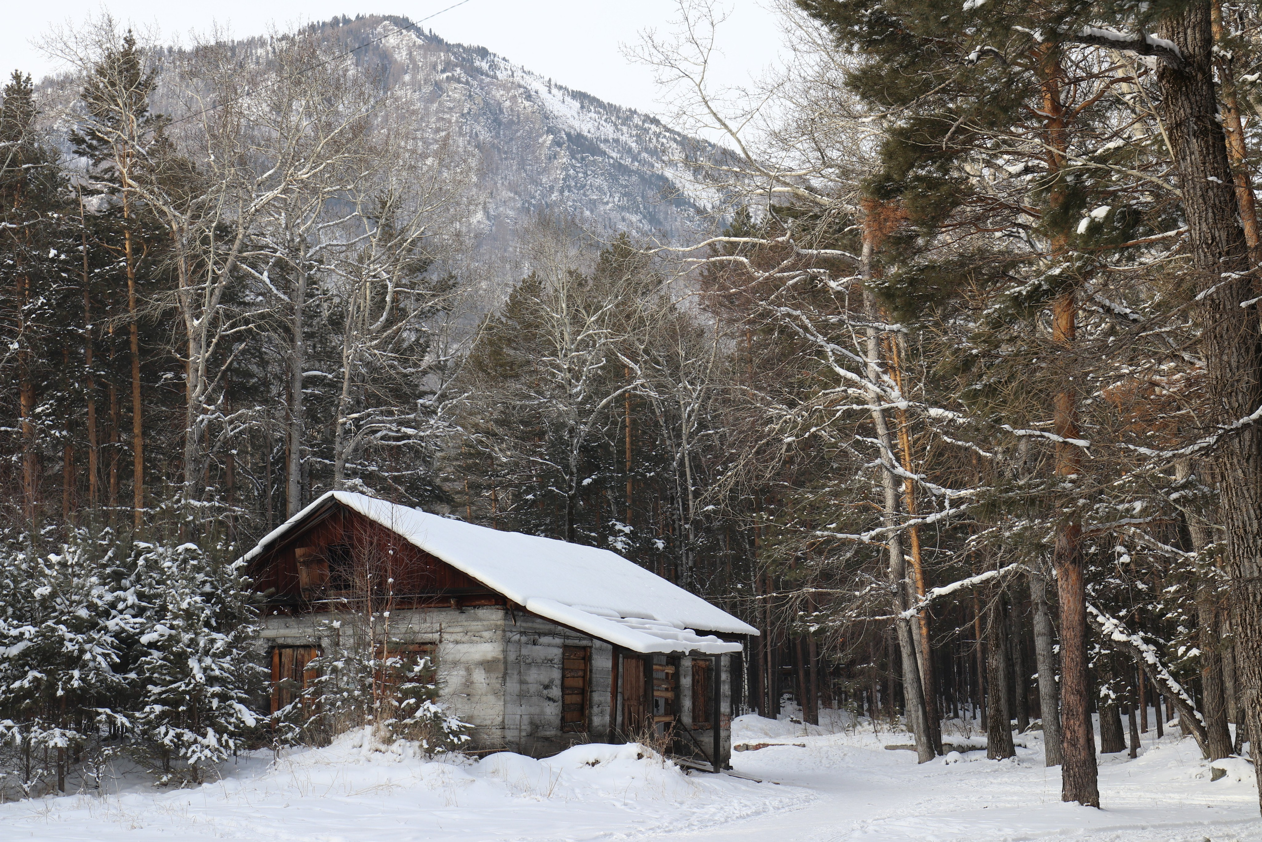 Аршан. Январь 2022. Путешественник-фотограф из Санкт-Петербурга Татьяна Свистулина