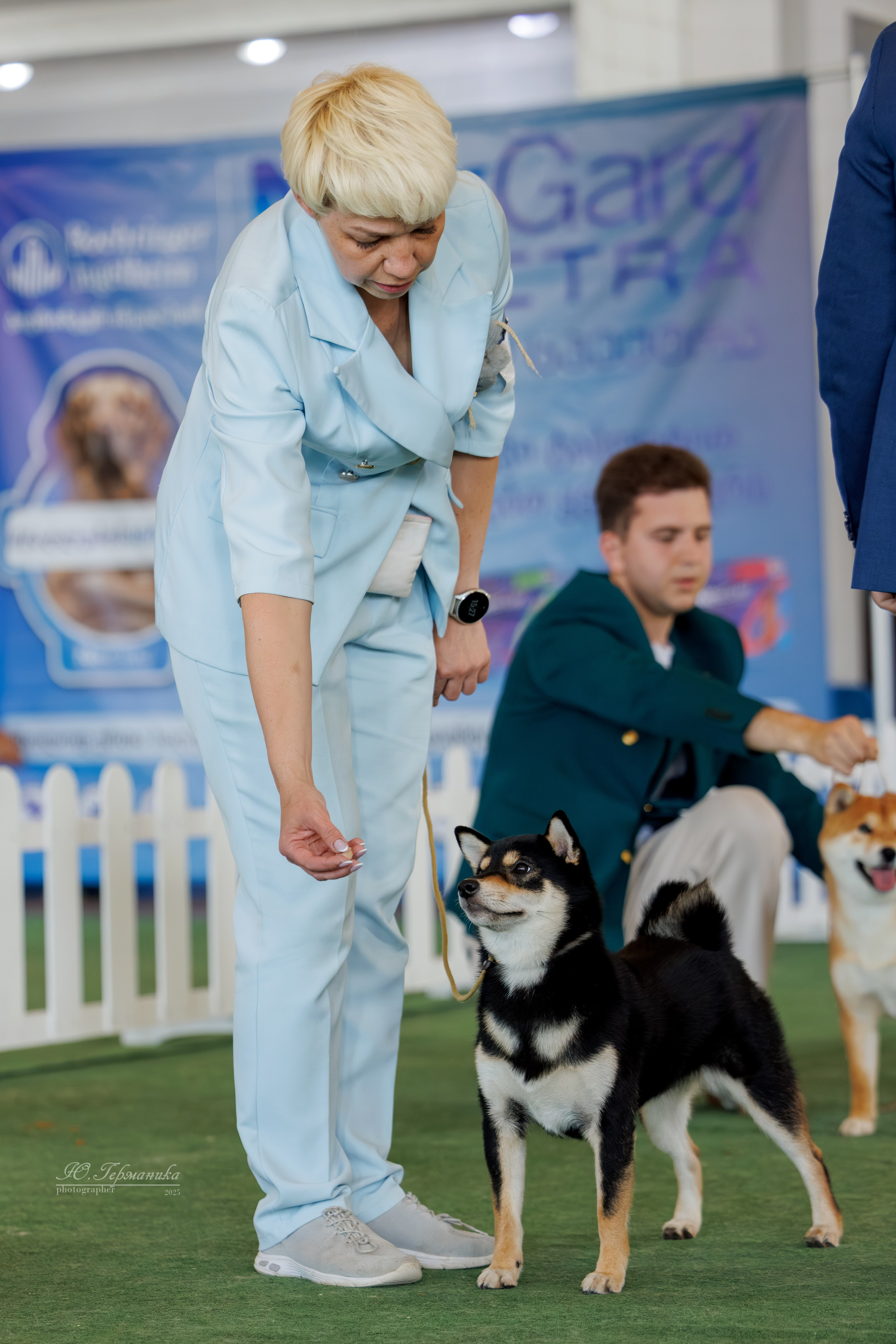 Батуми 3хCACIB 27-29.06.2025. Фотограф-анималист Юлия Германика