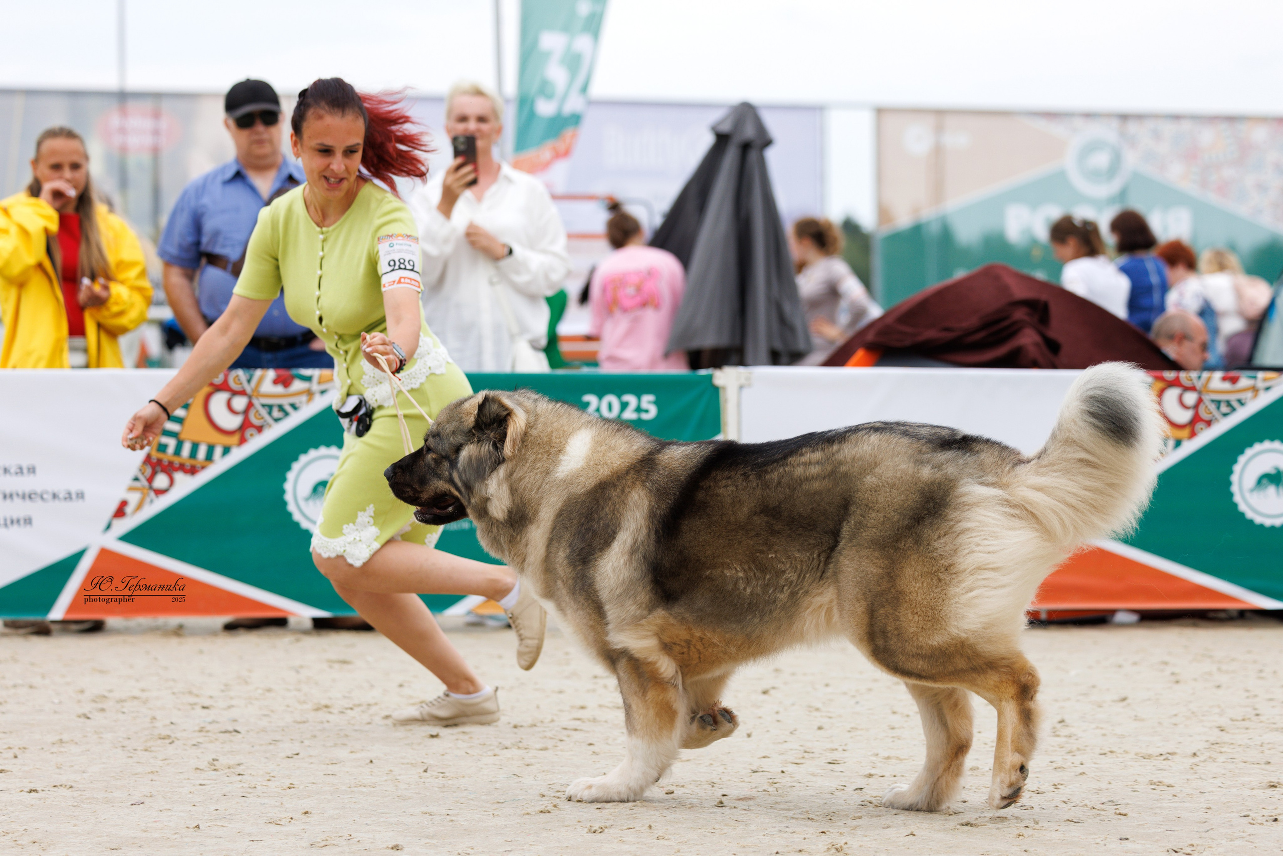 РОССИЯ 7-8.06.2025. Фотограф-анималист Юлия Германика