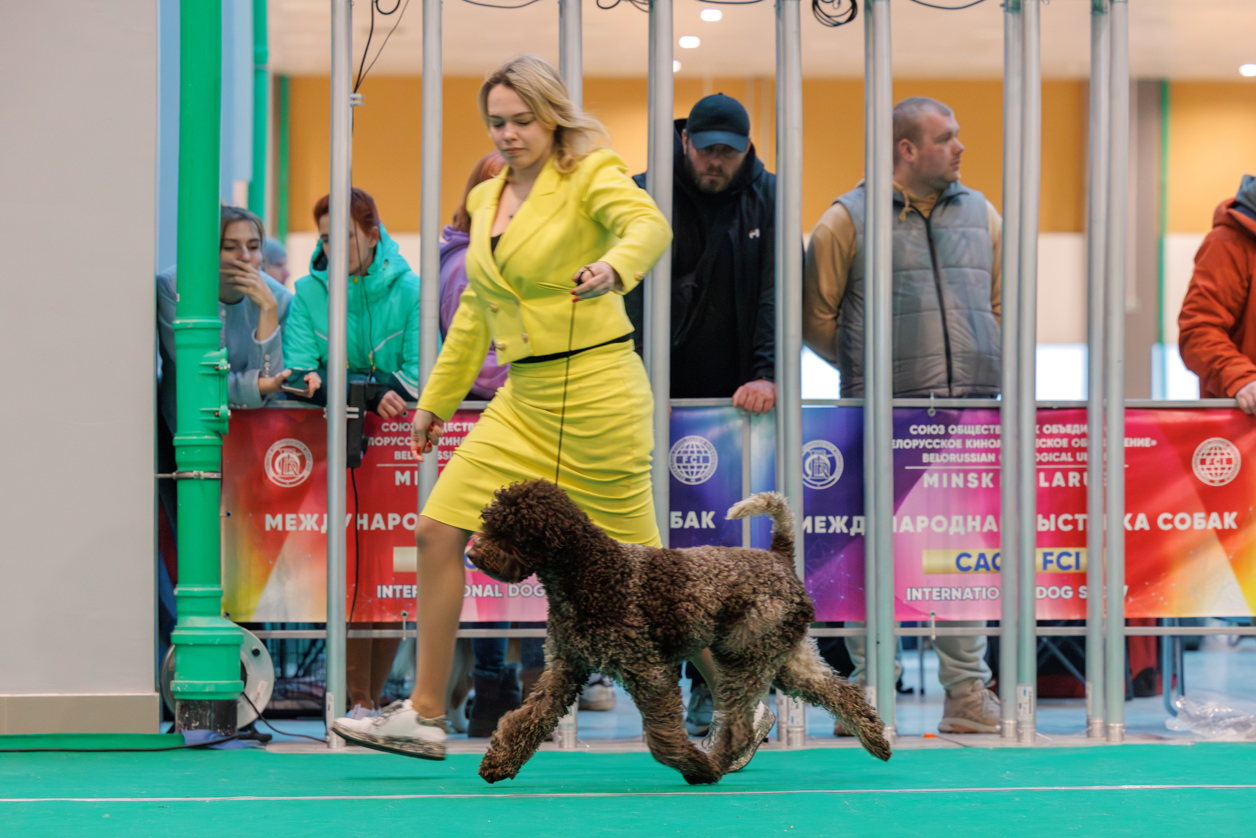 Минск 1-2.03.2025. Фотограф-анималист Юлия Германика