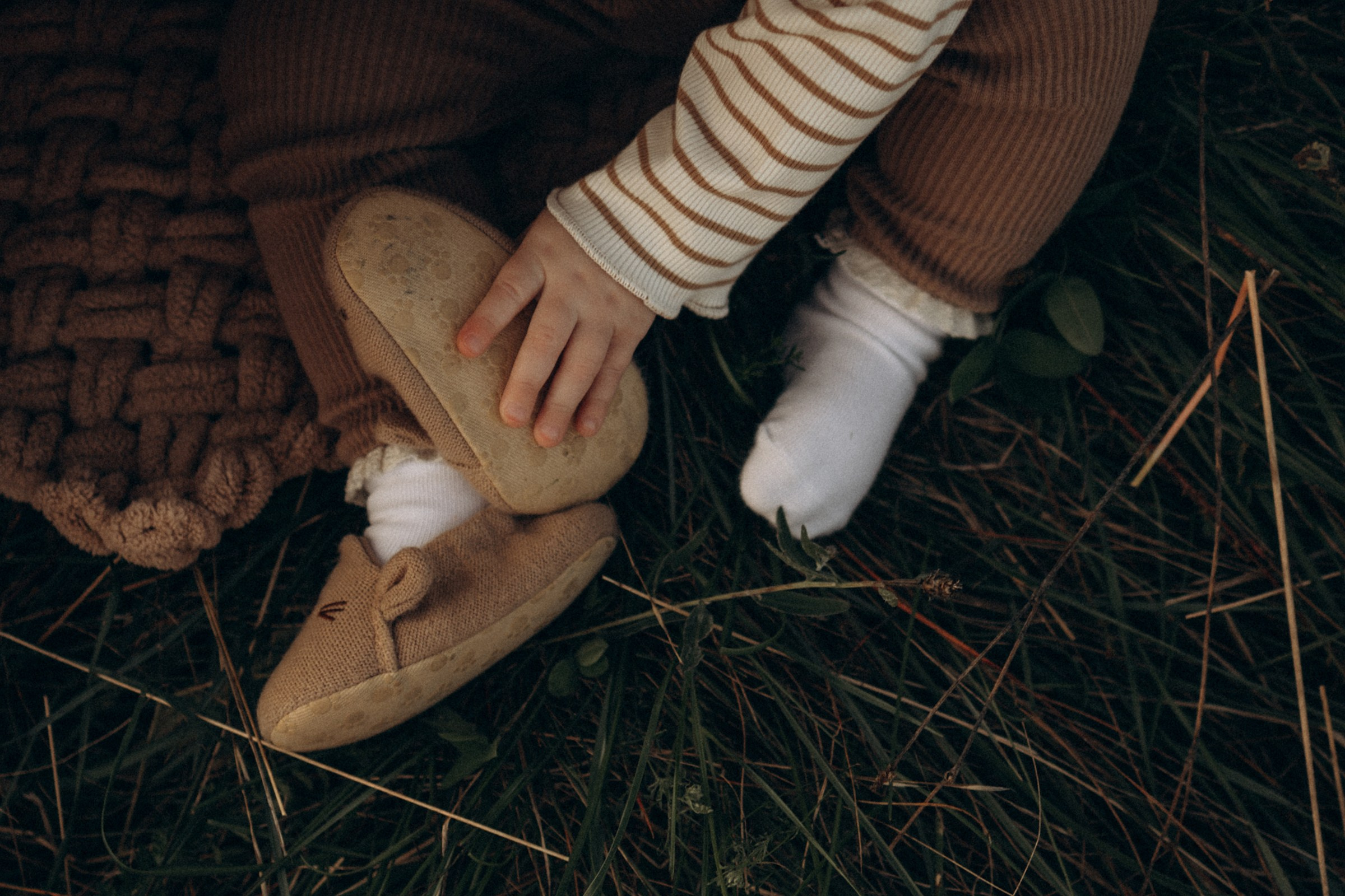 Печенька. Фотограф Daria Wilner