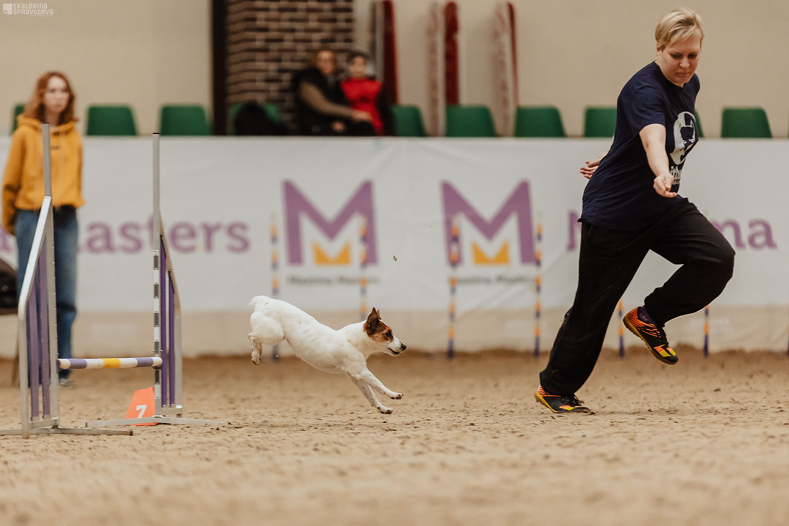 ЧРКФ Аджилити в Максима. Фотограф Анималист Екатерина Справцева в Нижнем Новгороде