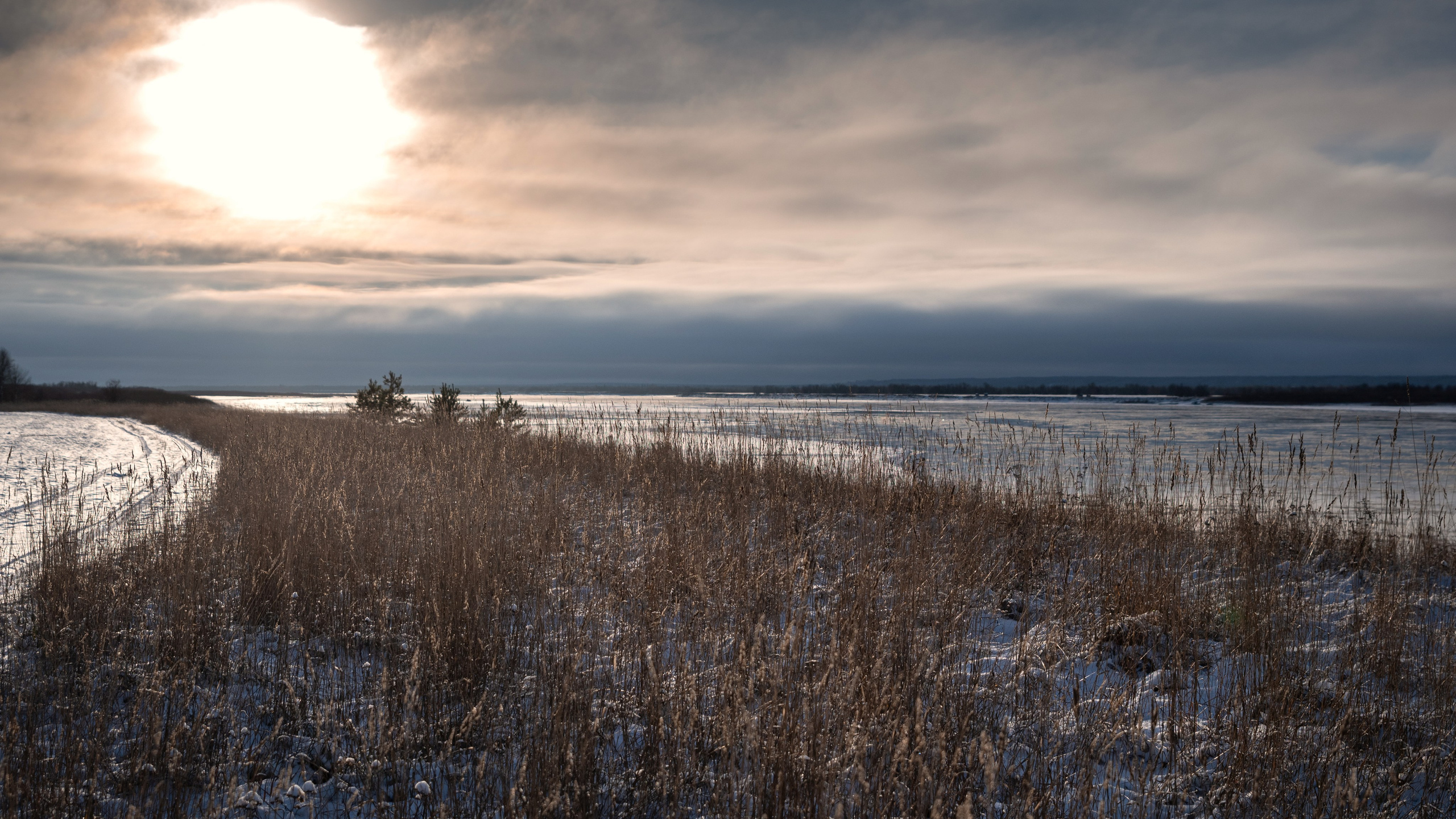 Разное. Фотограф в с. Ижма Республика Коми Терентьев Сергей